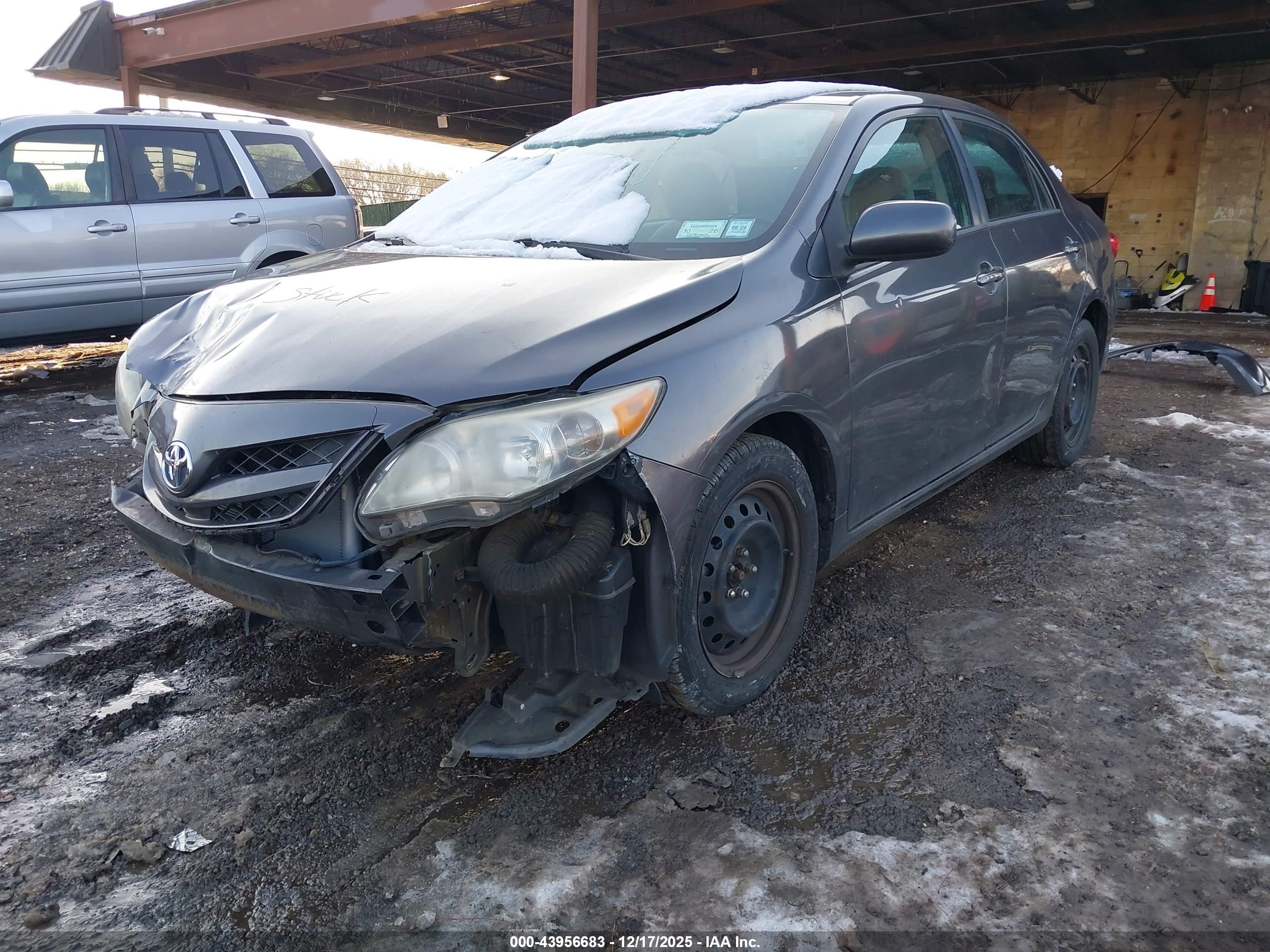 TOYOTA COROLLA image 6