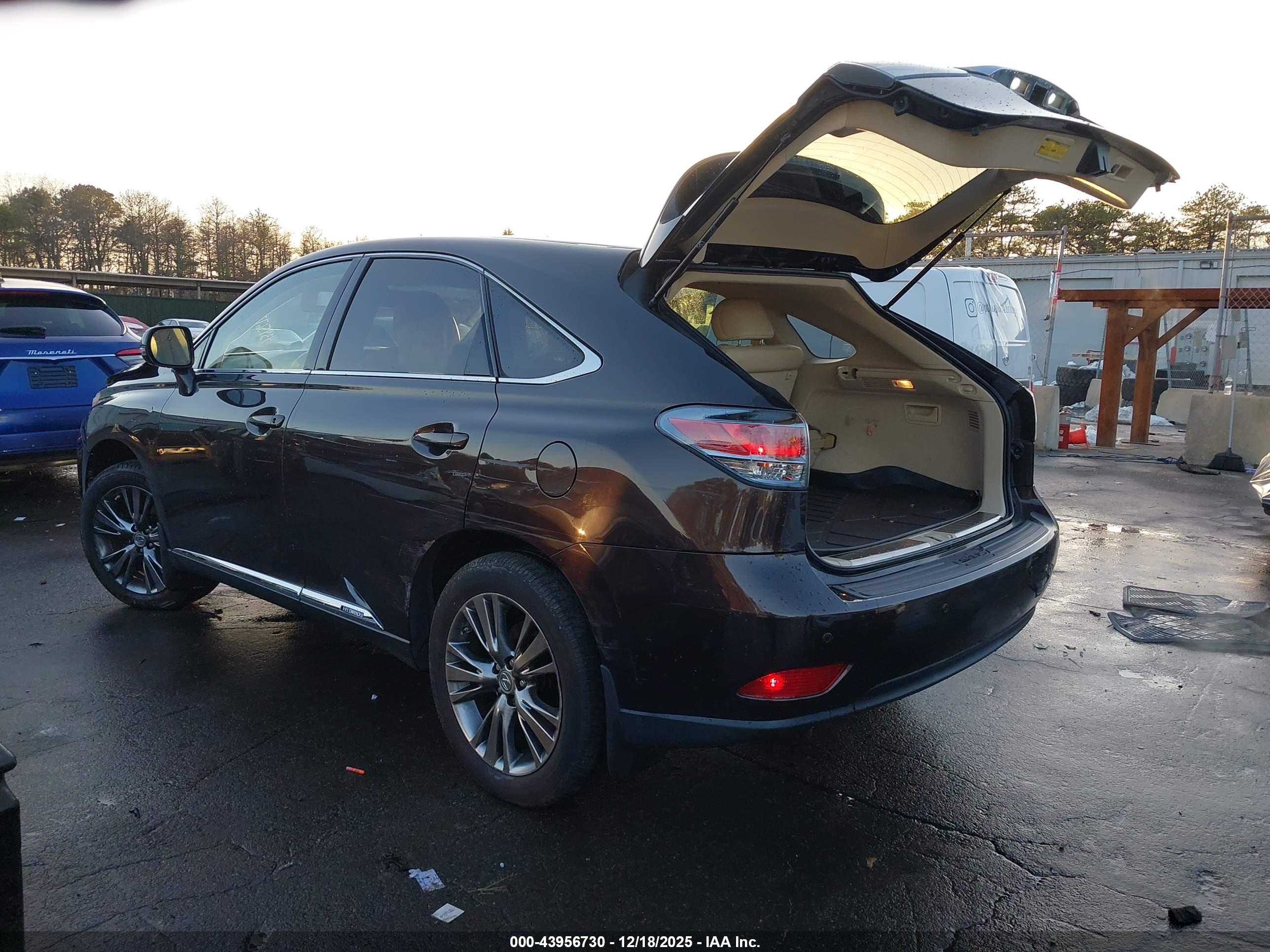 LEXUS RX image 3