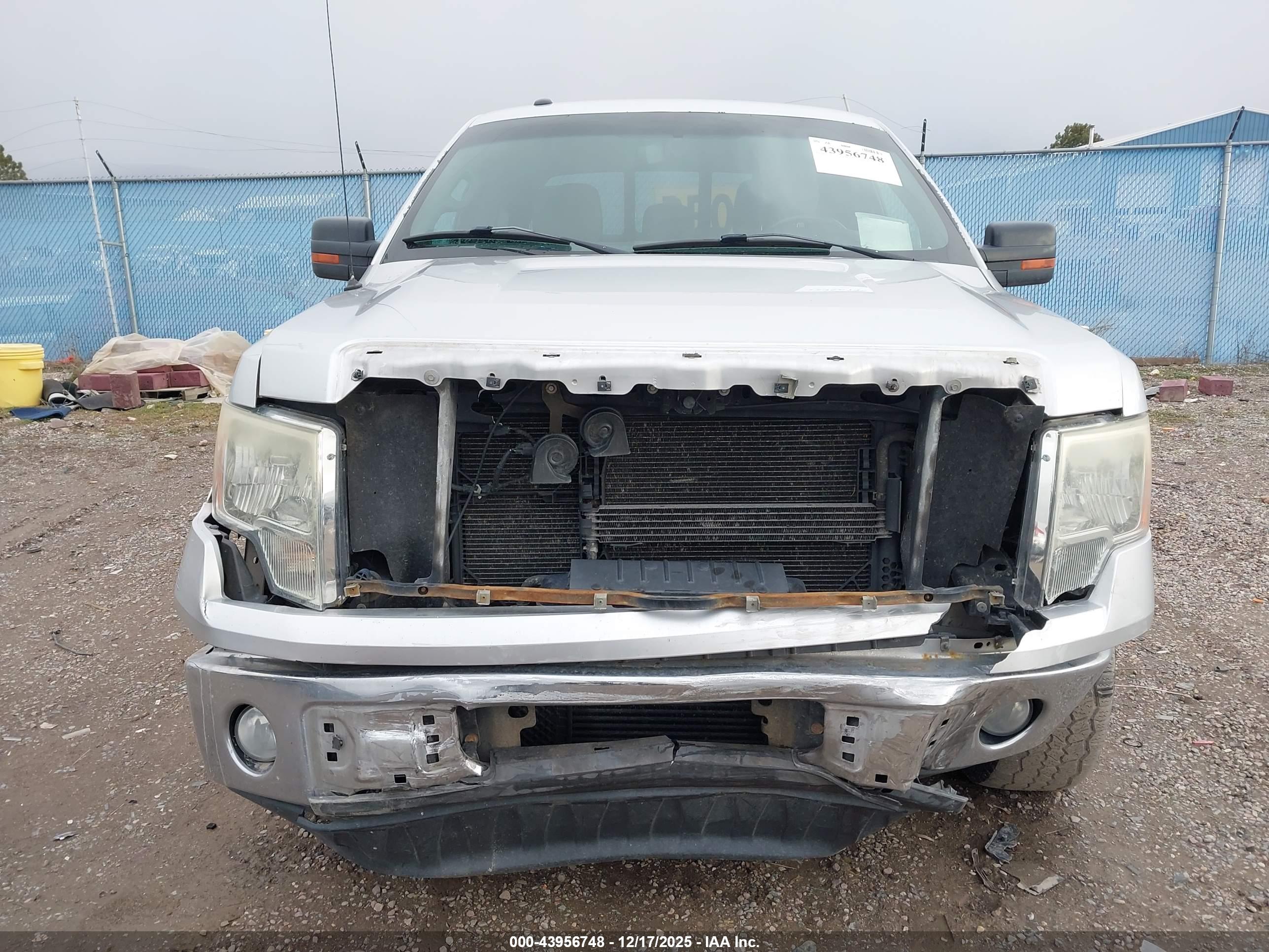 FORD F-150 image 6