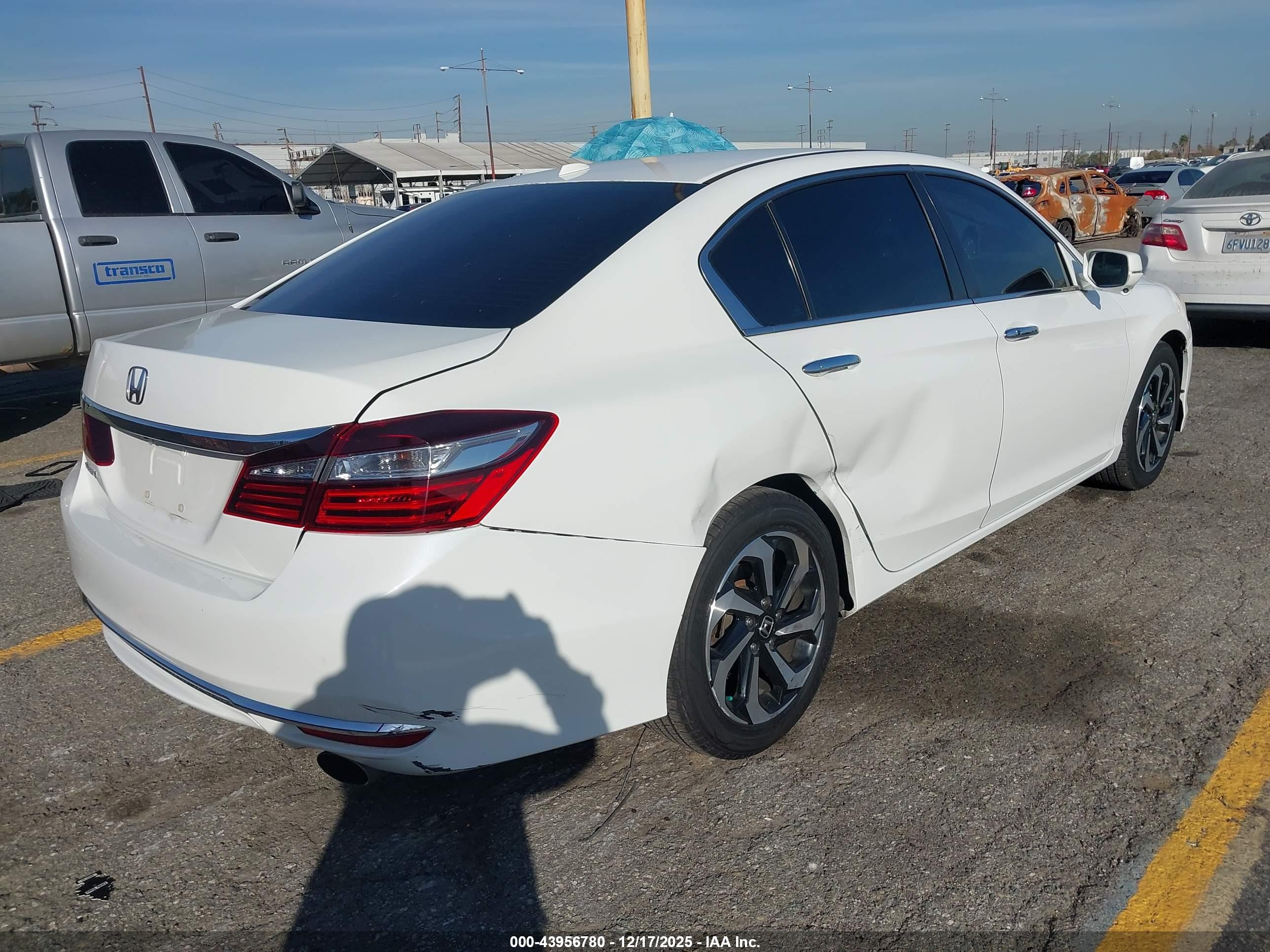 HONDA ACCORD image 4