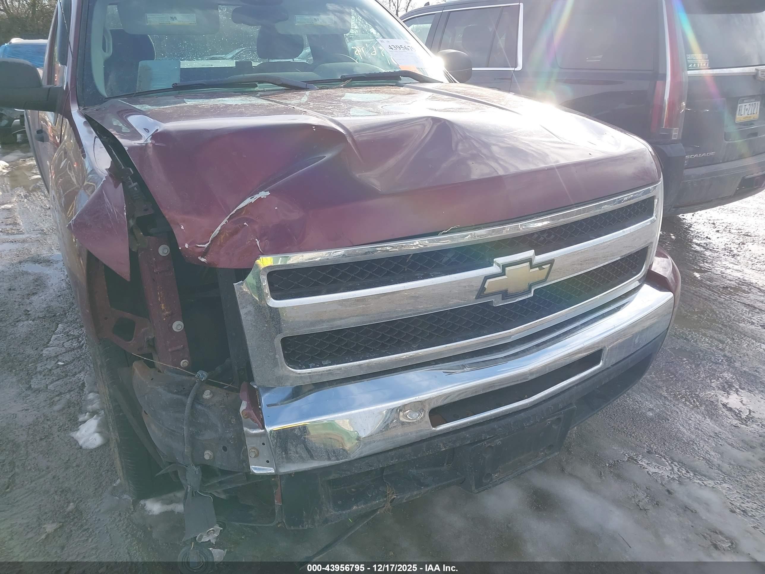 CHEVROLET SILVERADO image 6