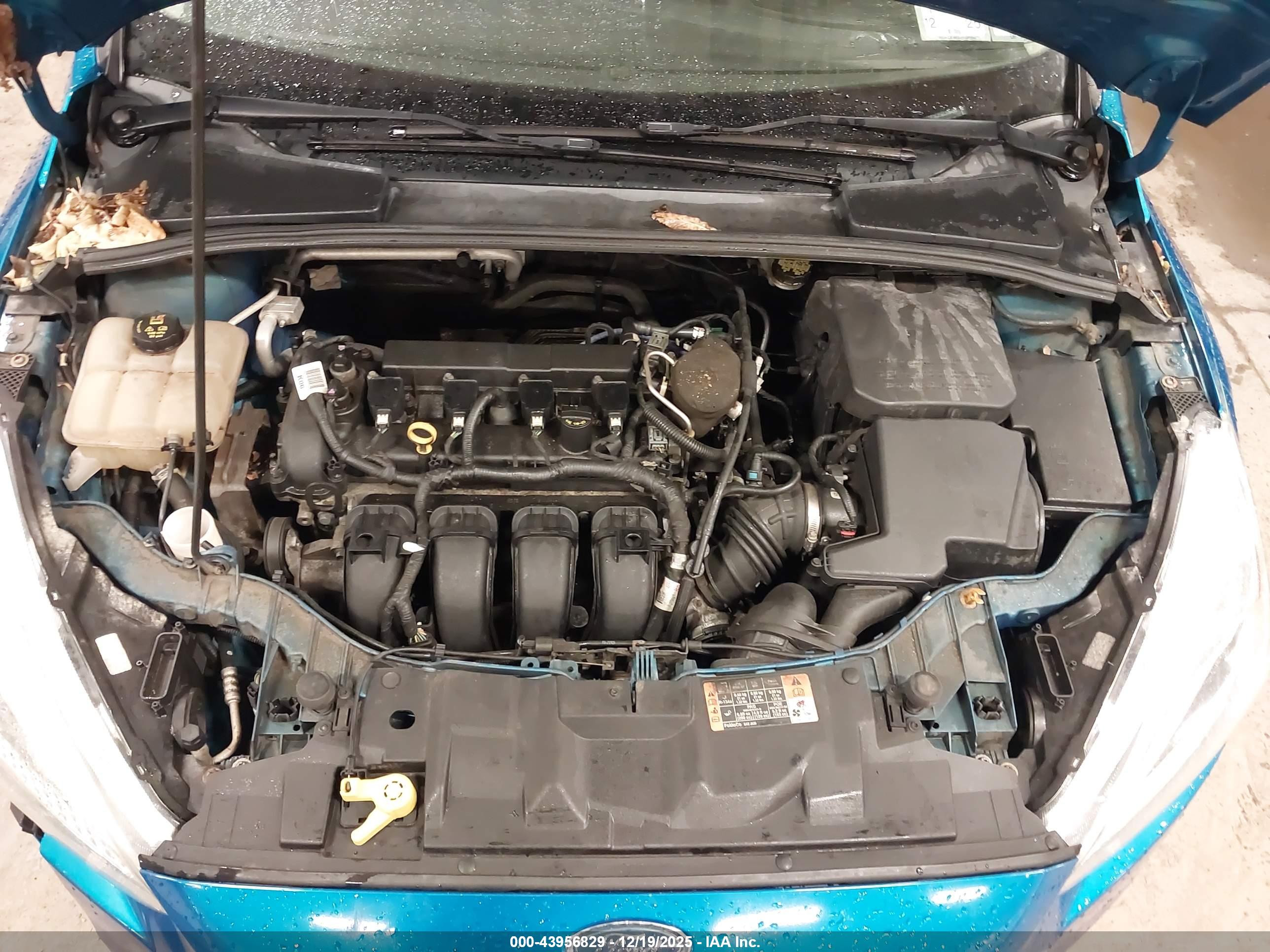 FORD FOCUS image 10
