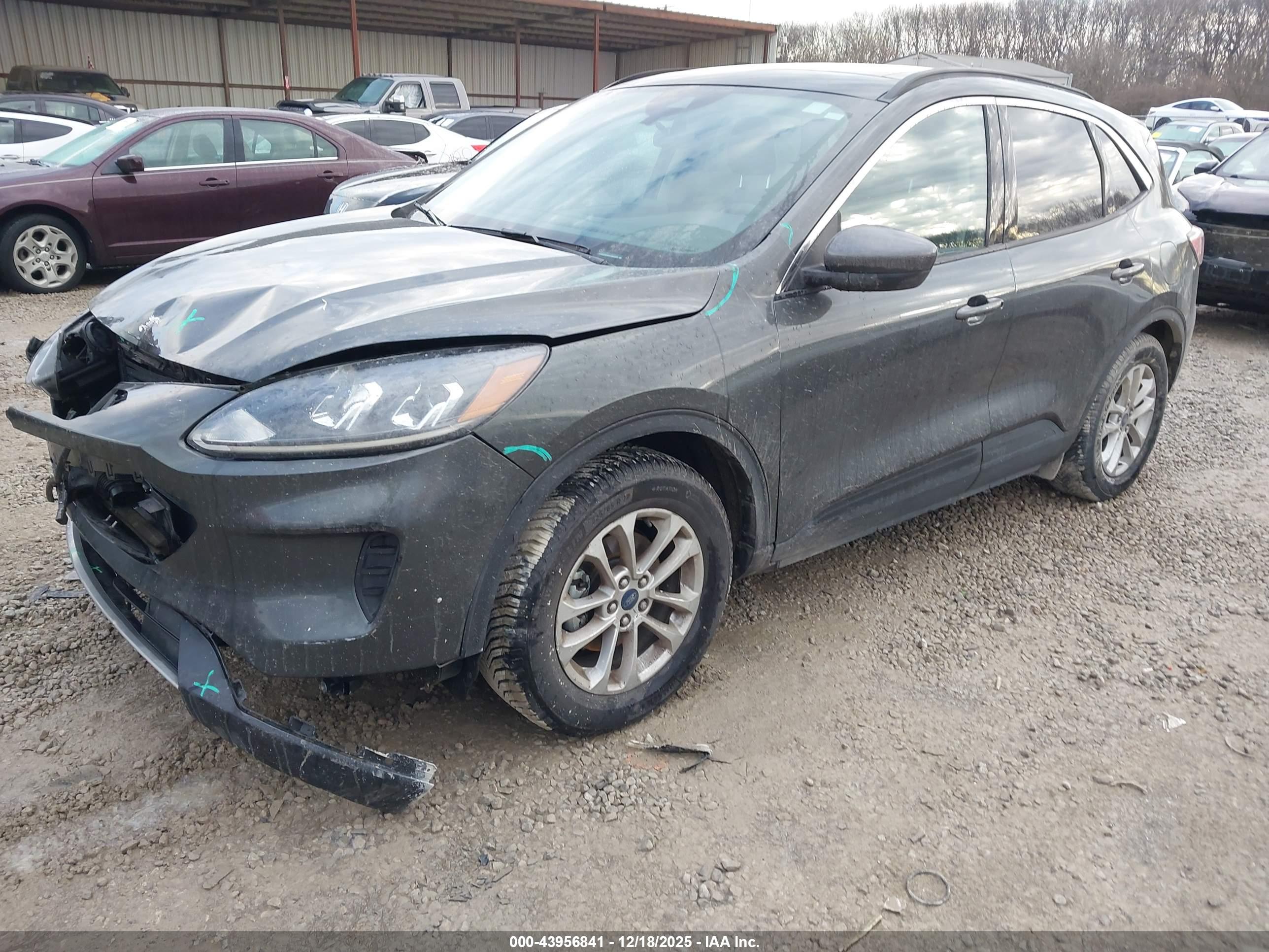FORD ESCAPE image 2