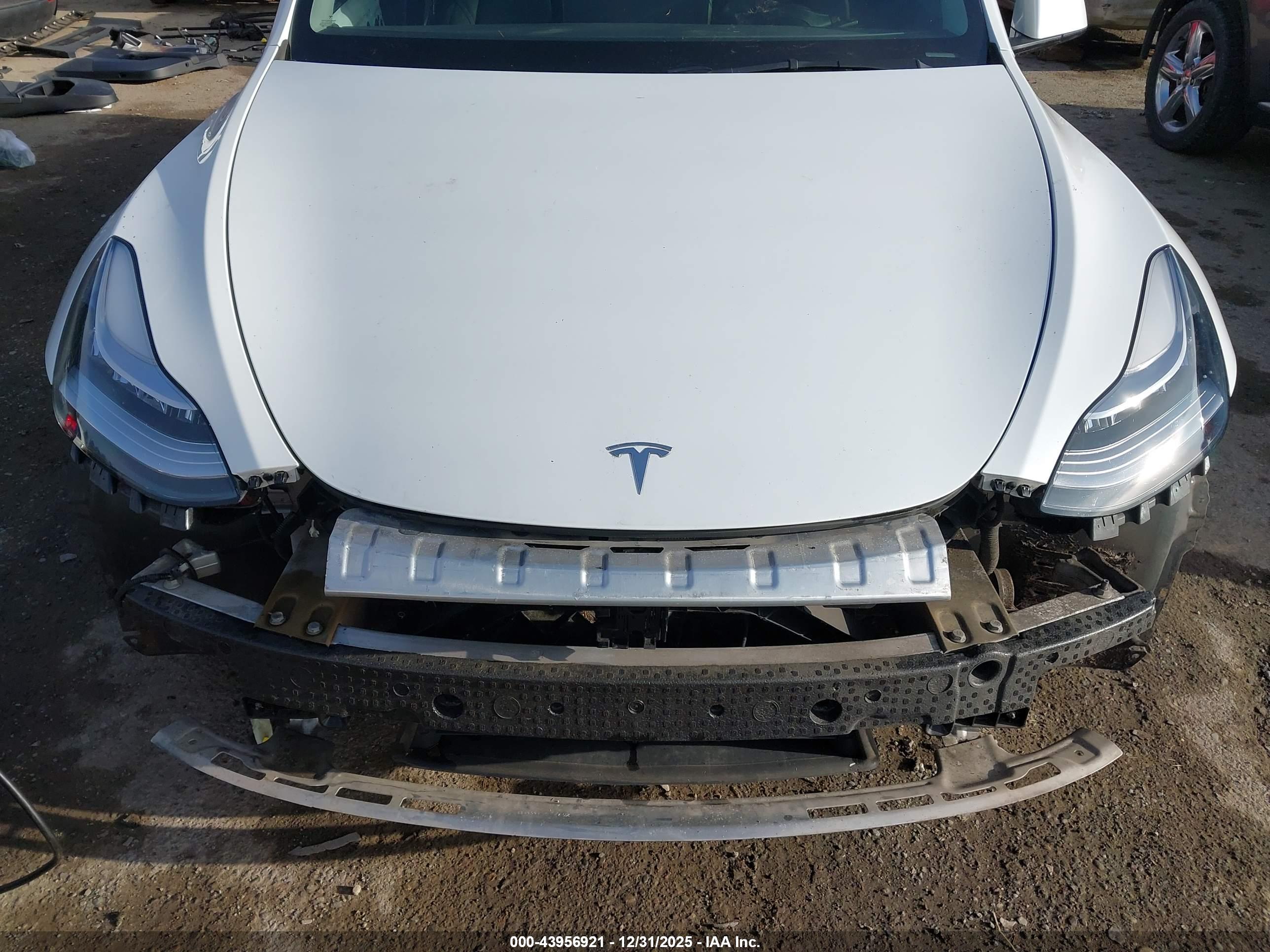 TESLA MODEL image 10