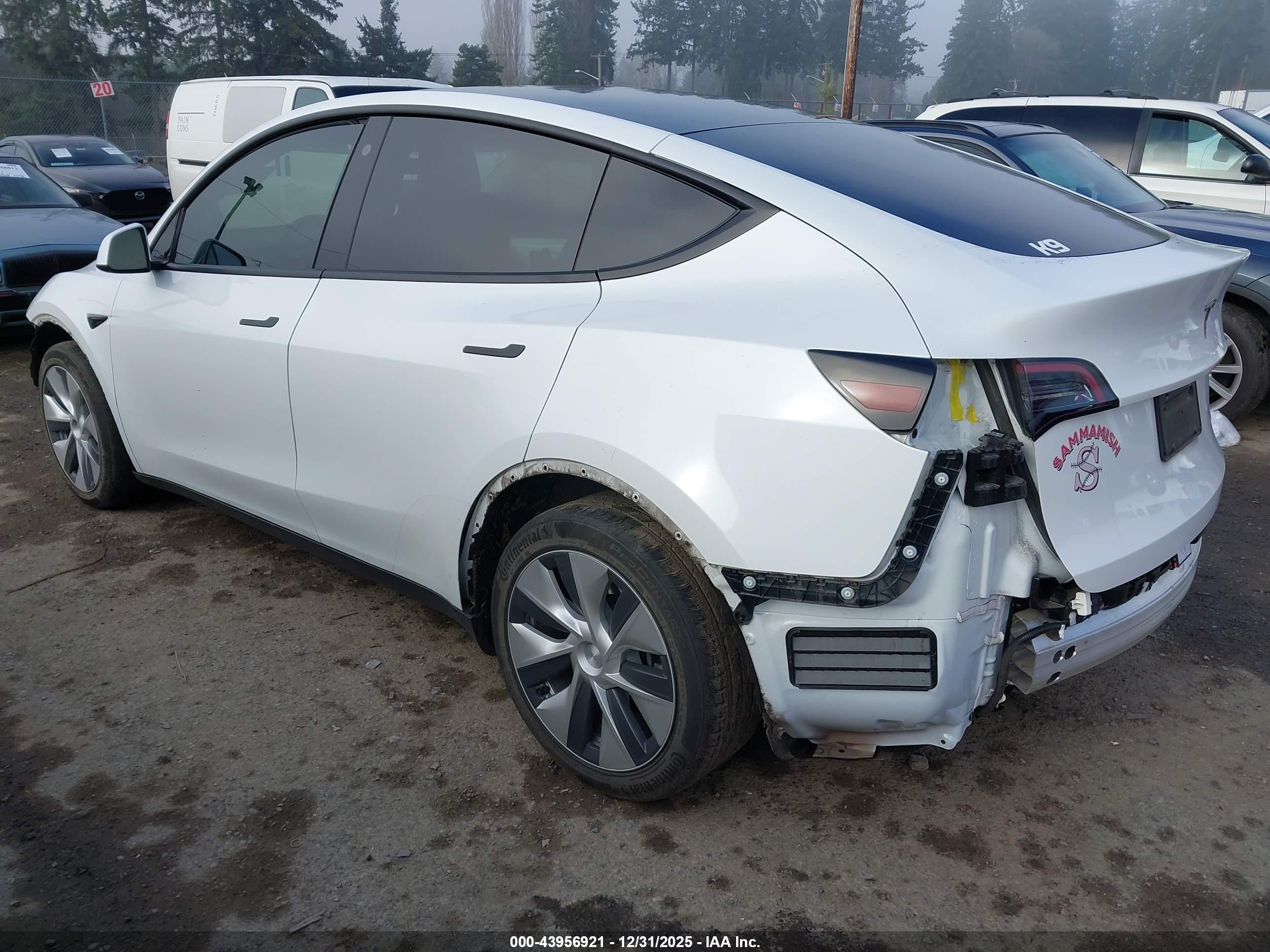 TESLA MODEL image 3