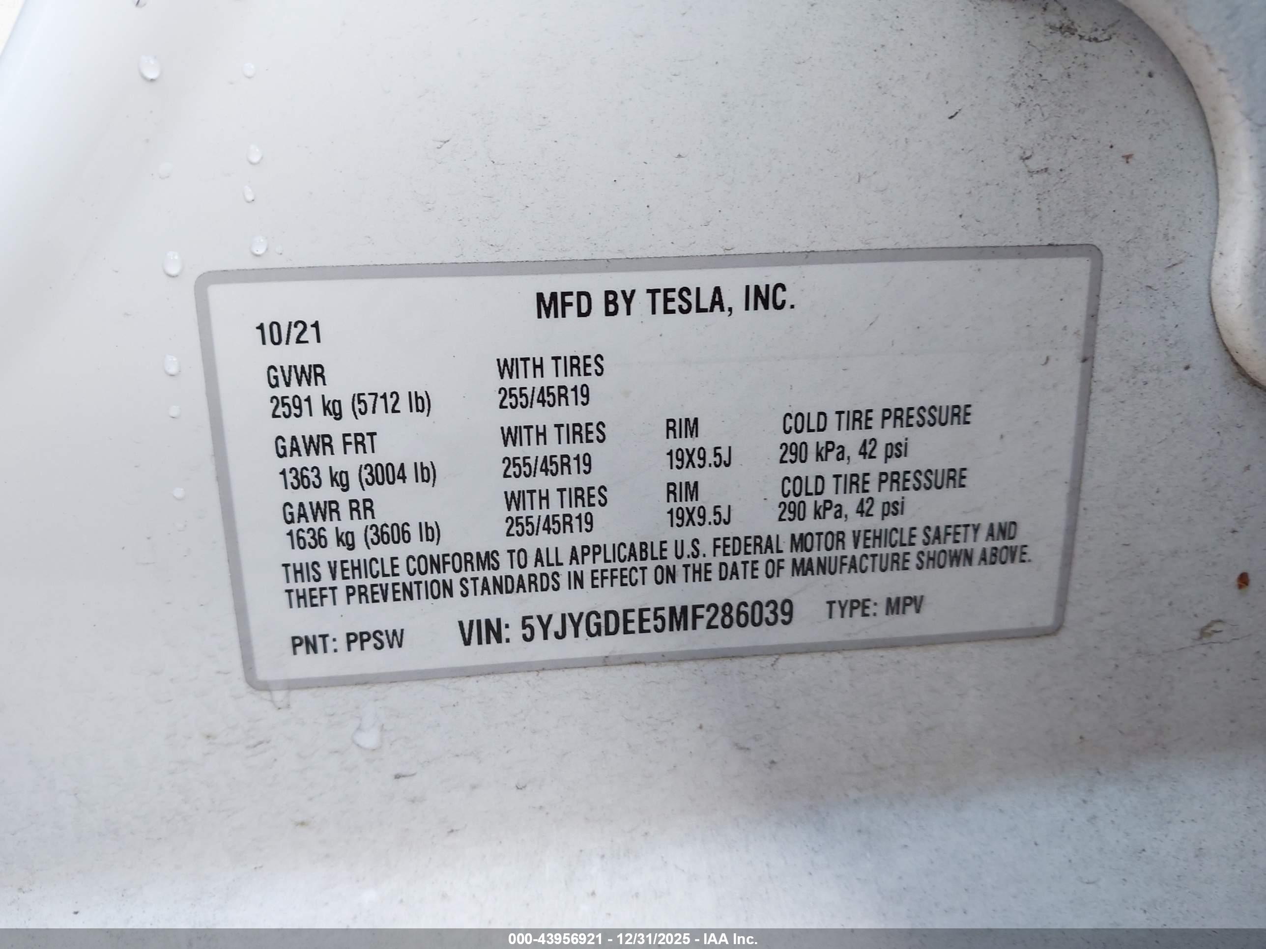 TESLA MODEL image 9