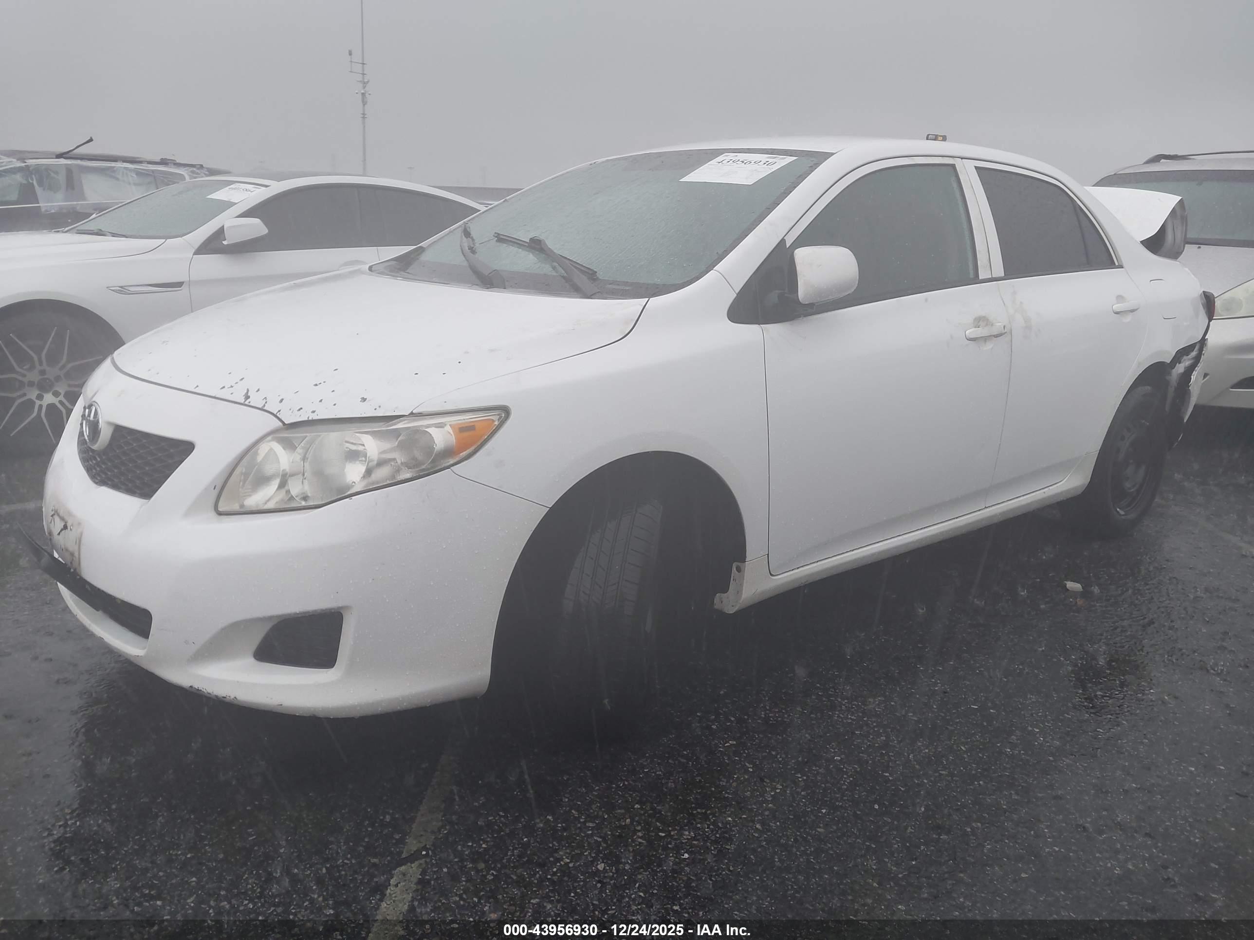 TOYOTA COROLLA image 2