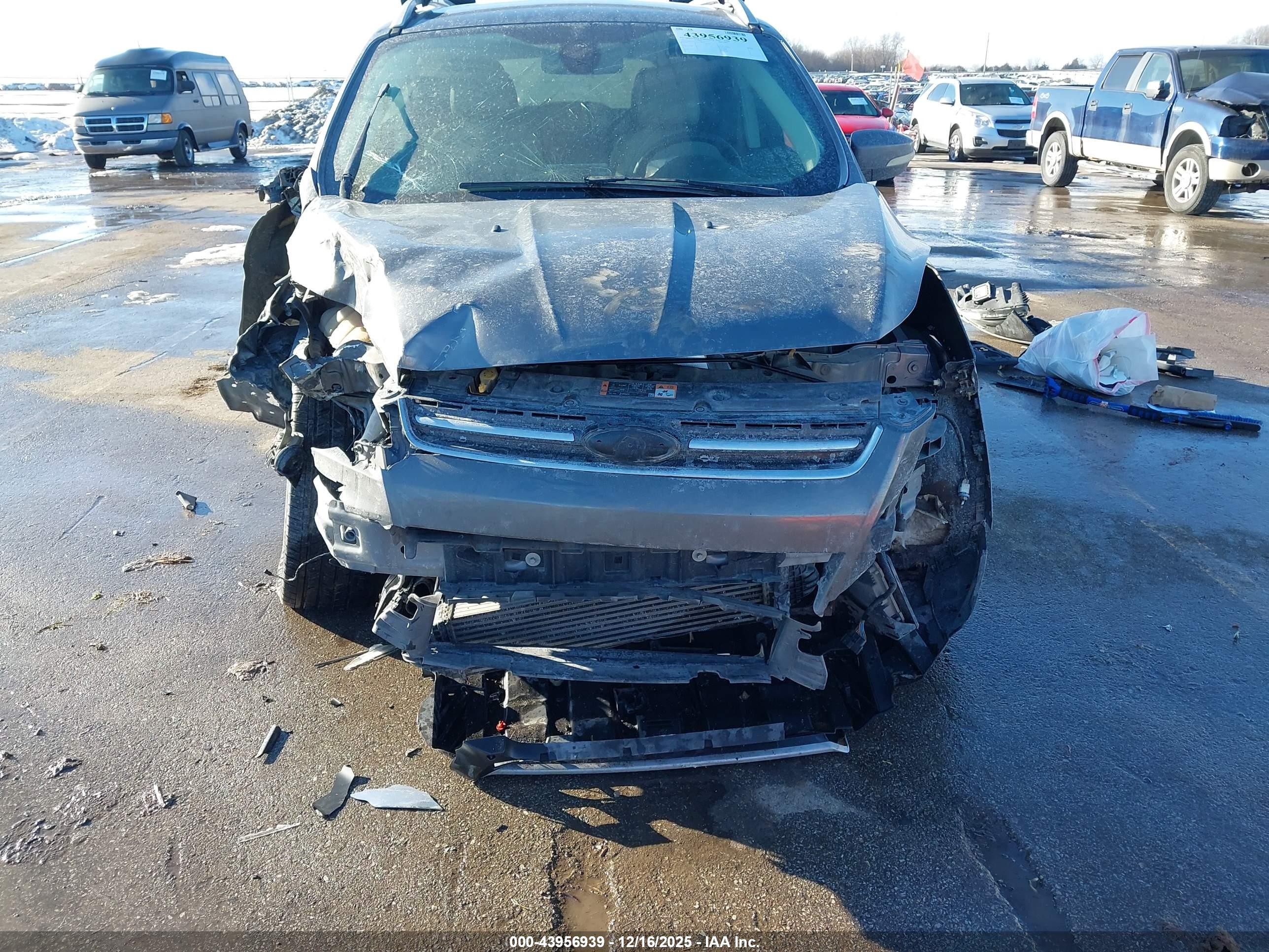 FORD ESCAPE image 6