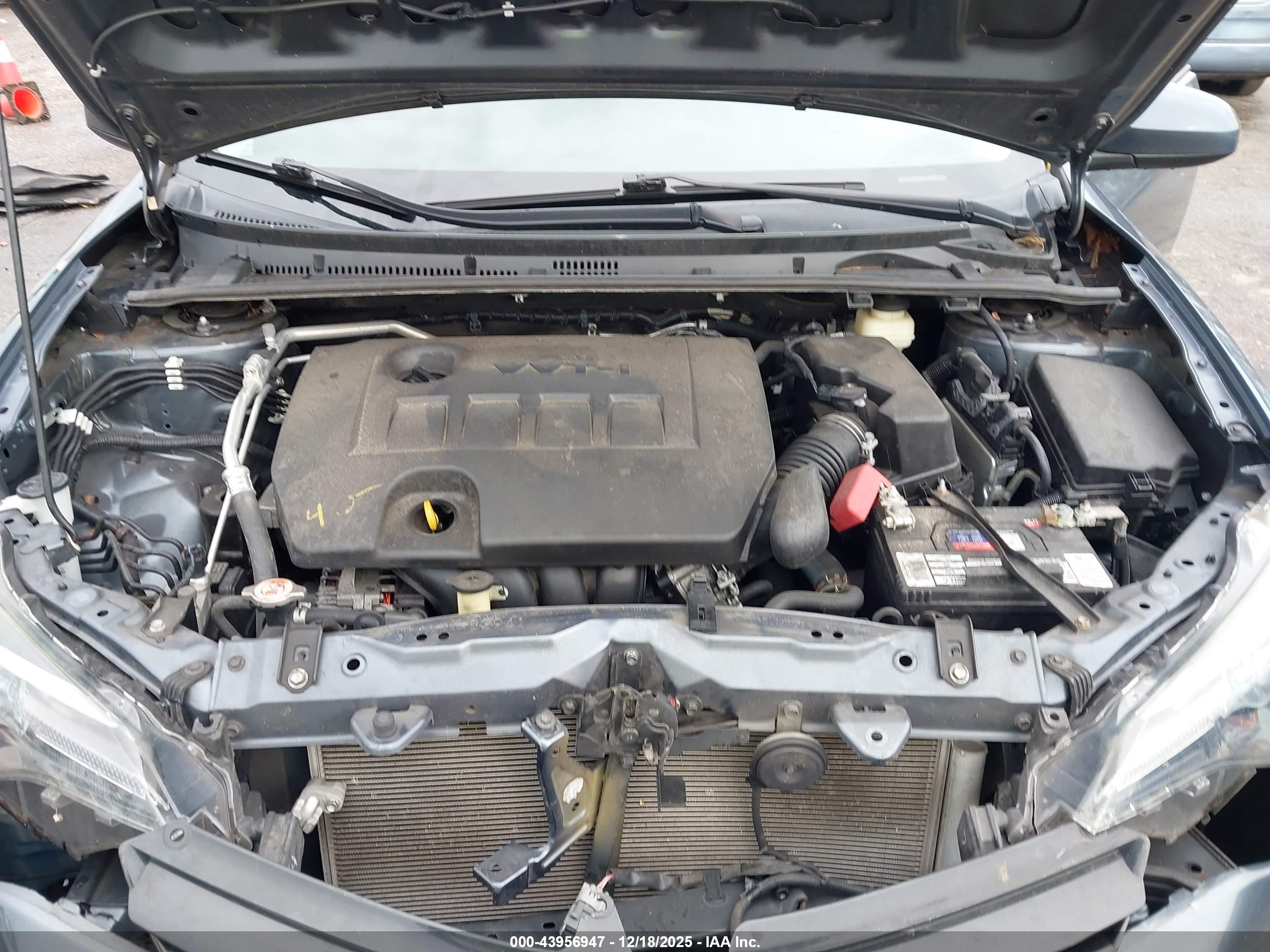 TOYOTA COROLLA image 10