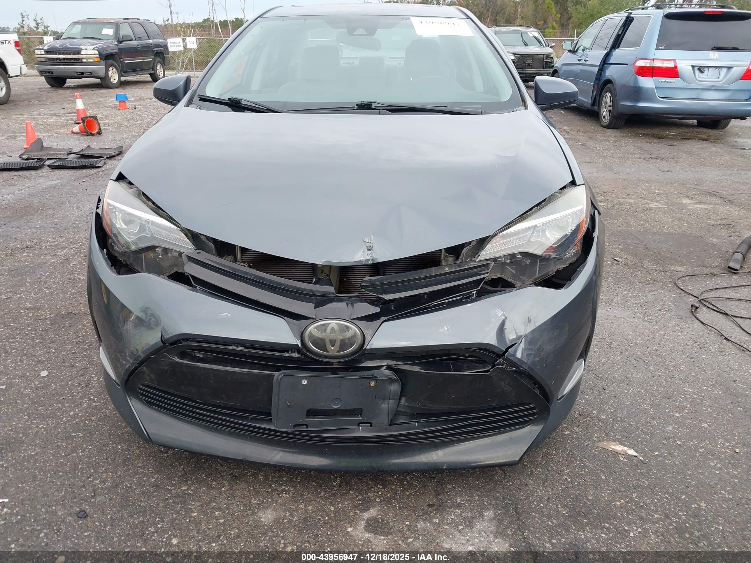TOYOTA COROLLA image 6