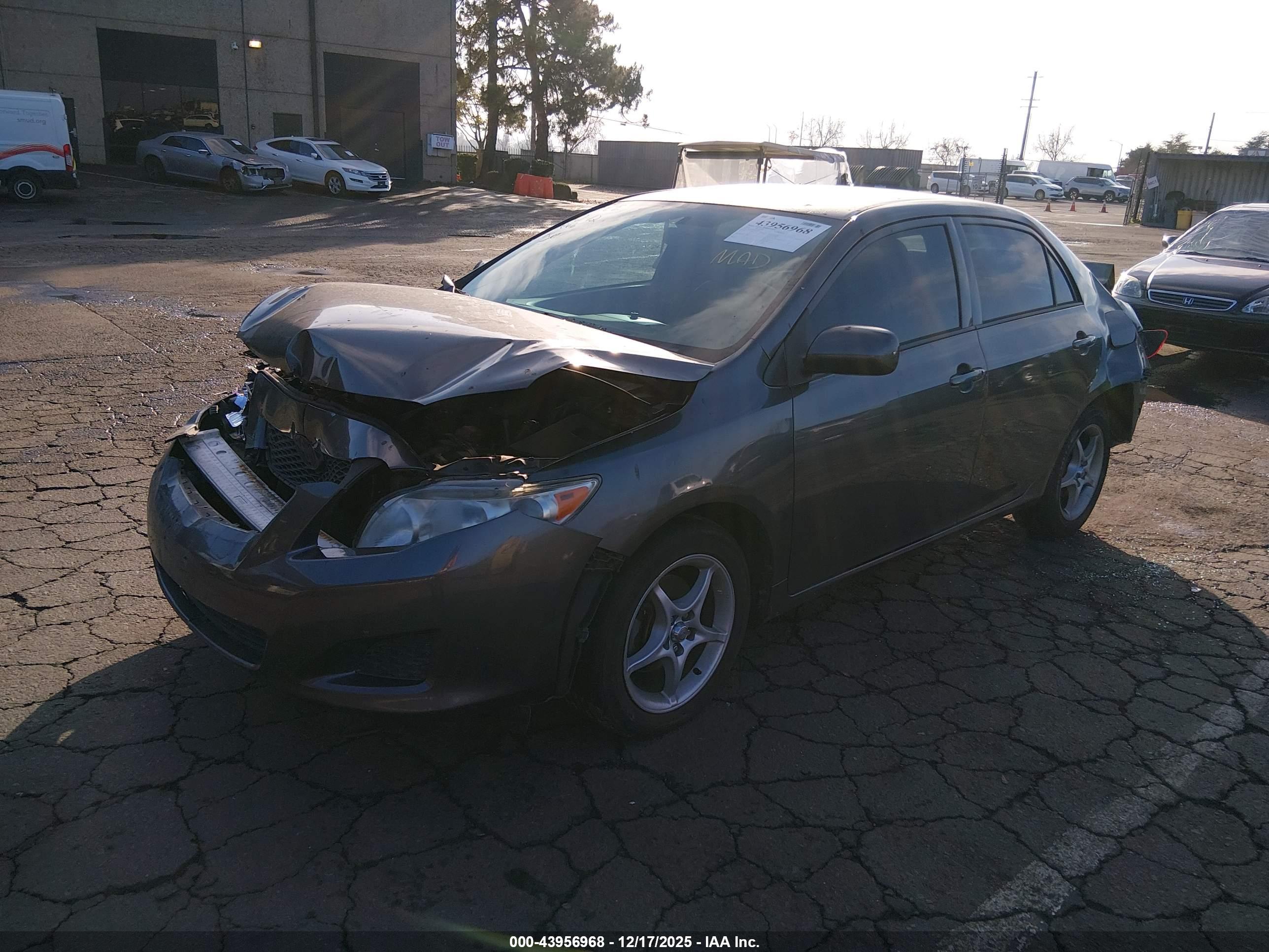 TOYOTA COROLLA image 2