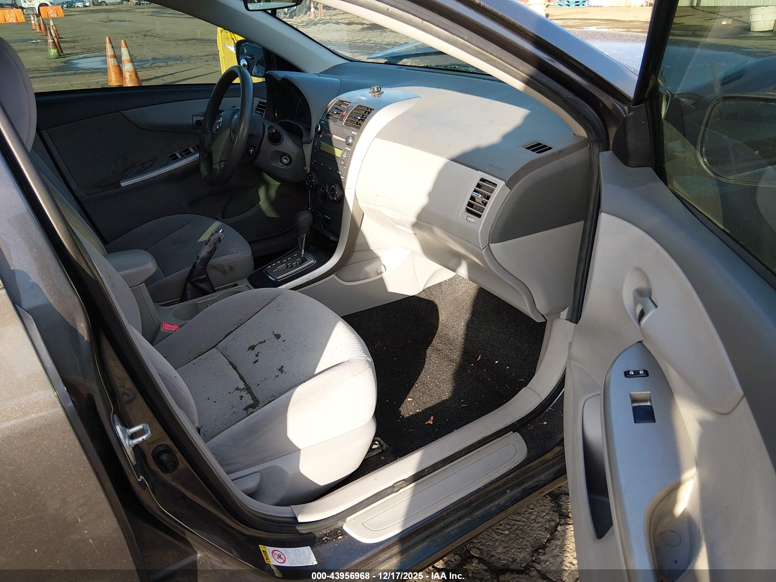 TOYOTA COROLLA image 5