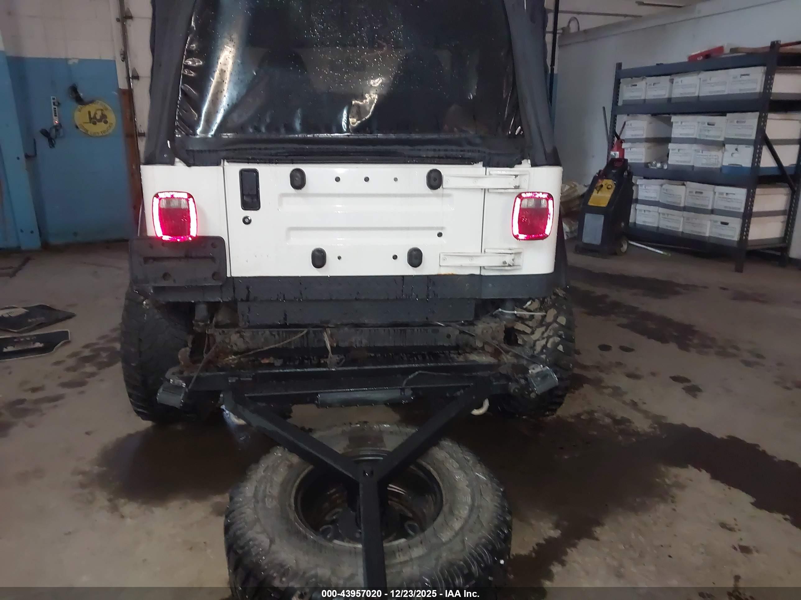 JEEP WRANGLER image 6
