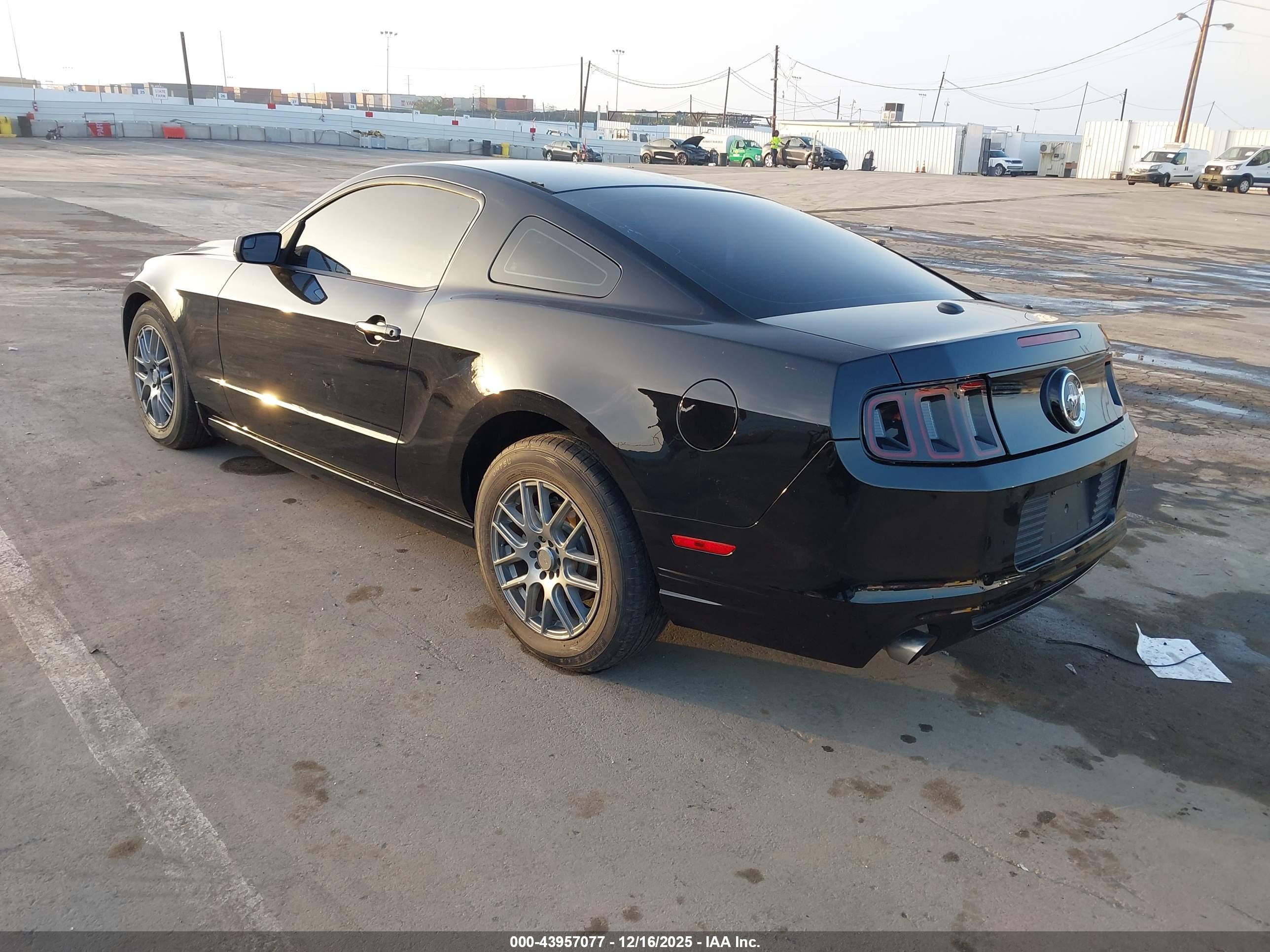 FORD MUSTANG image 3