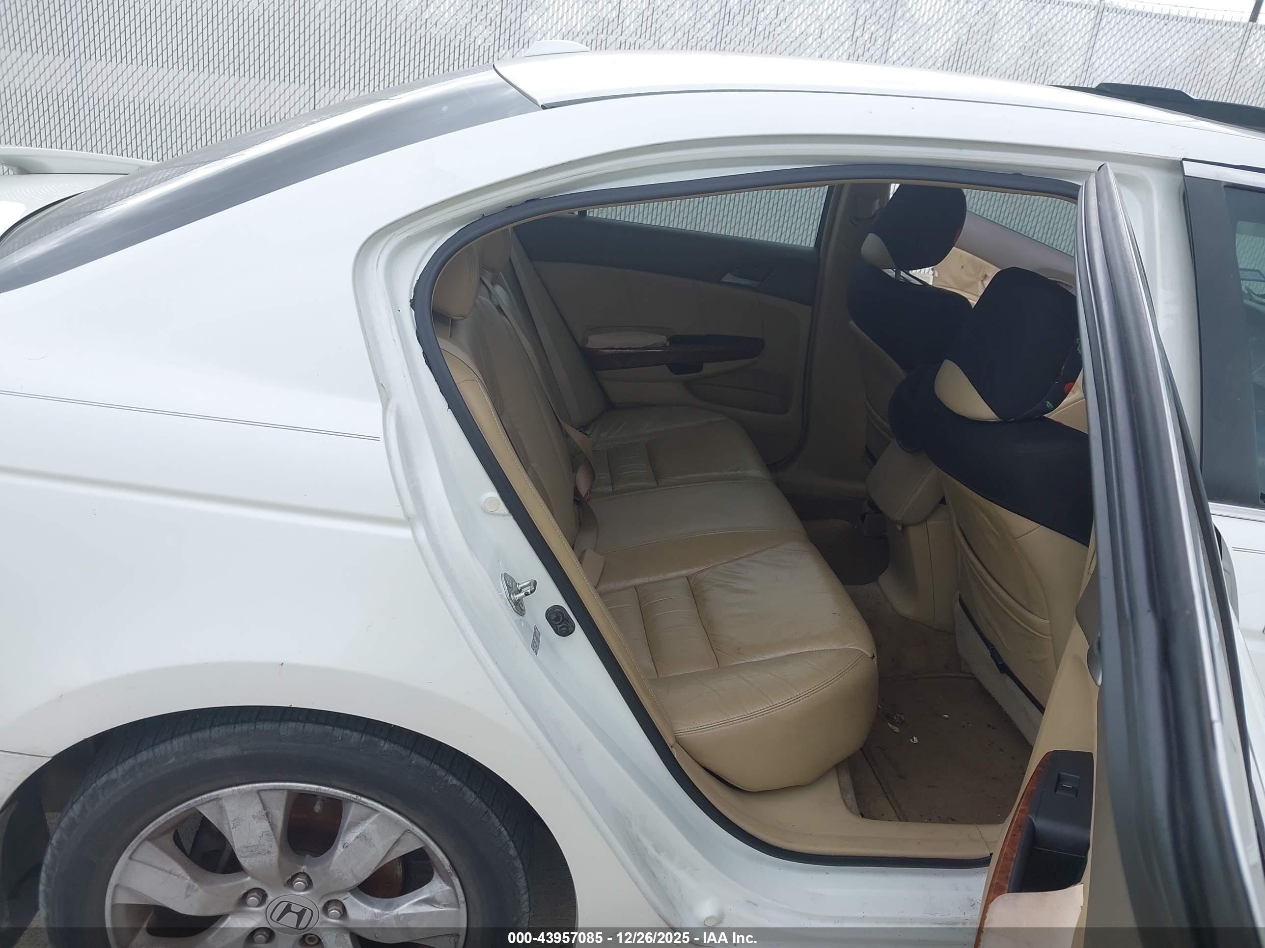 HONDA ACCORD image 8