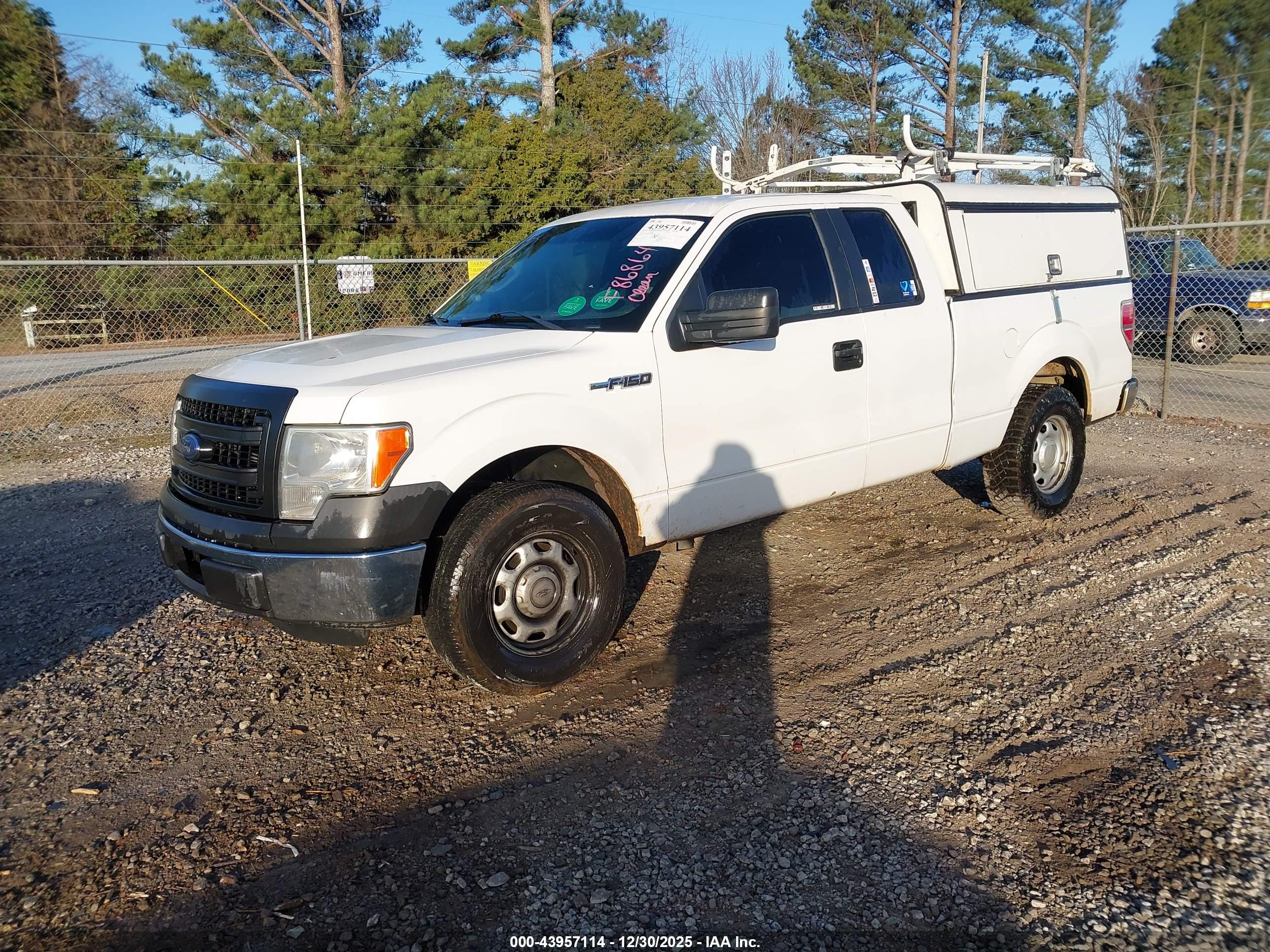 FORD F-150 image 2