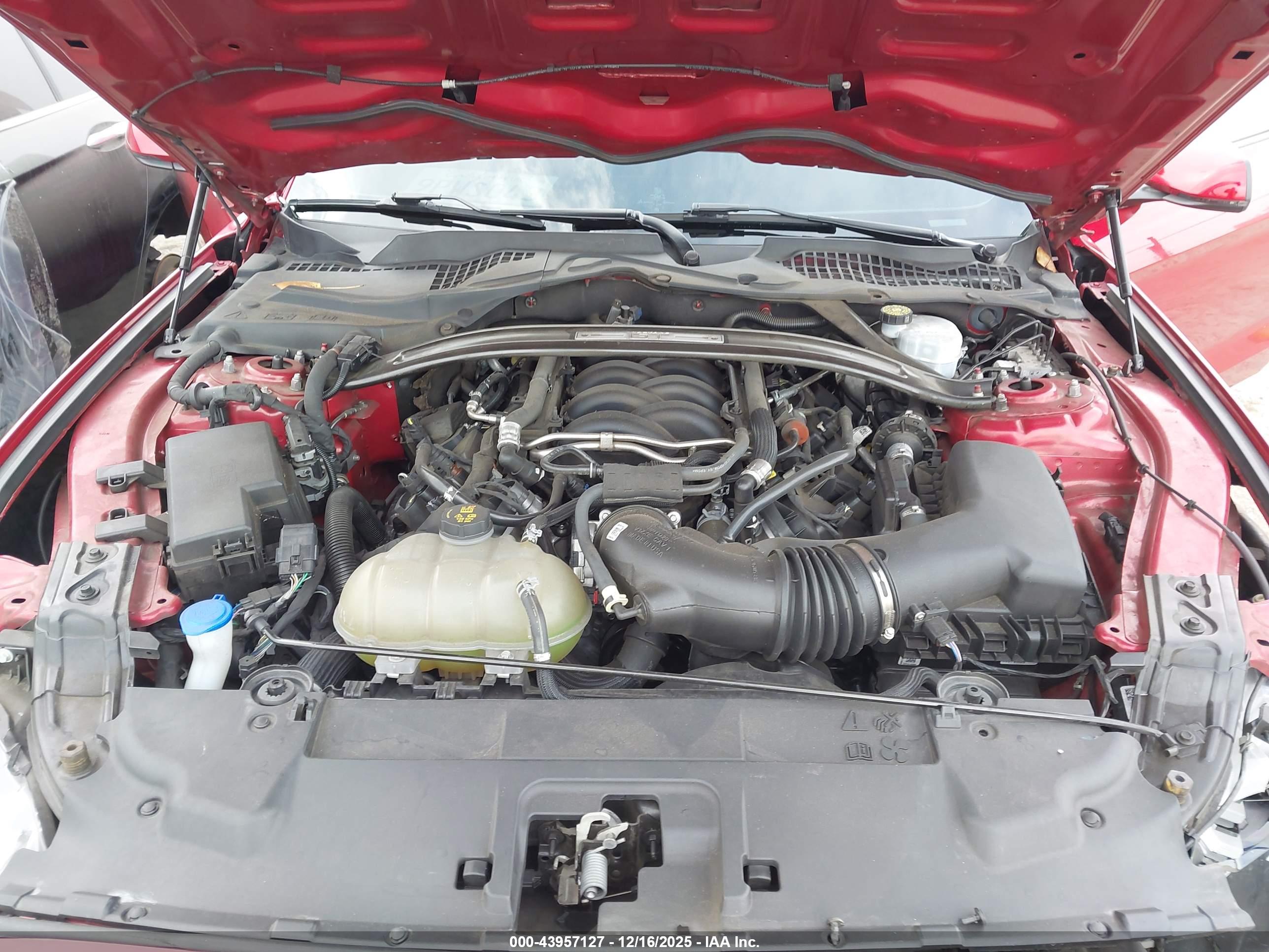 FORD MUSTANG image 10