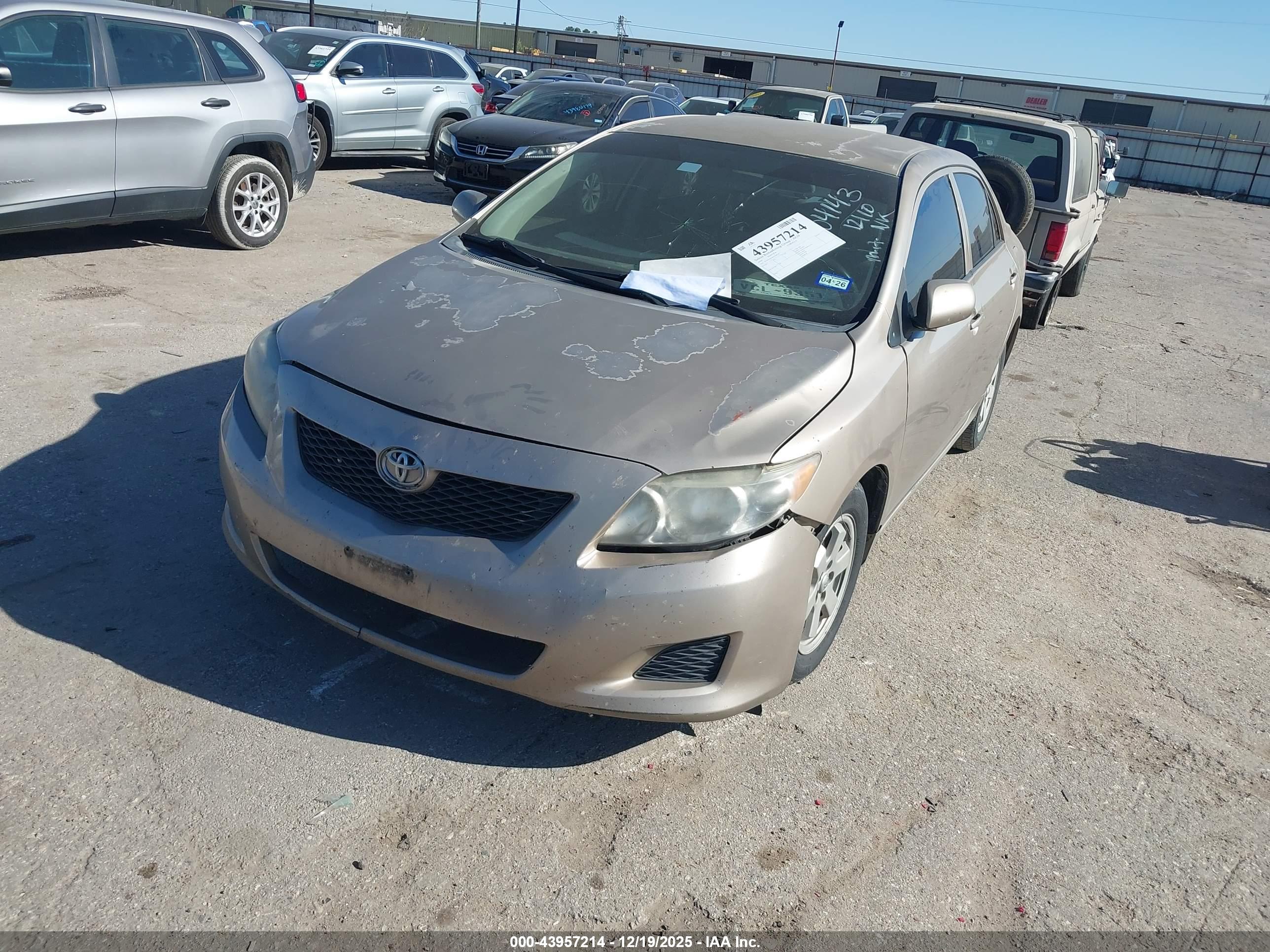 TOYOTA COROLLA image 2