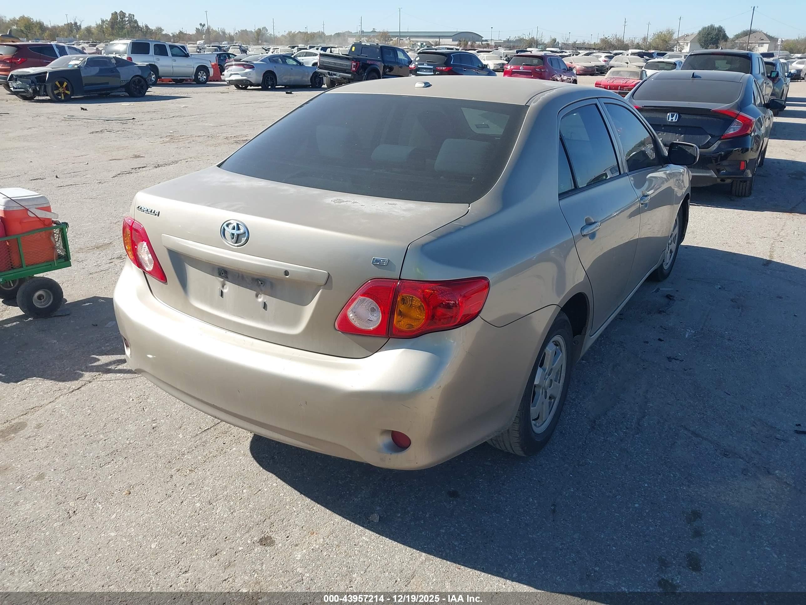 TOYOTA COROLLA image 4
