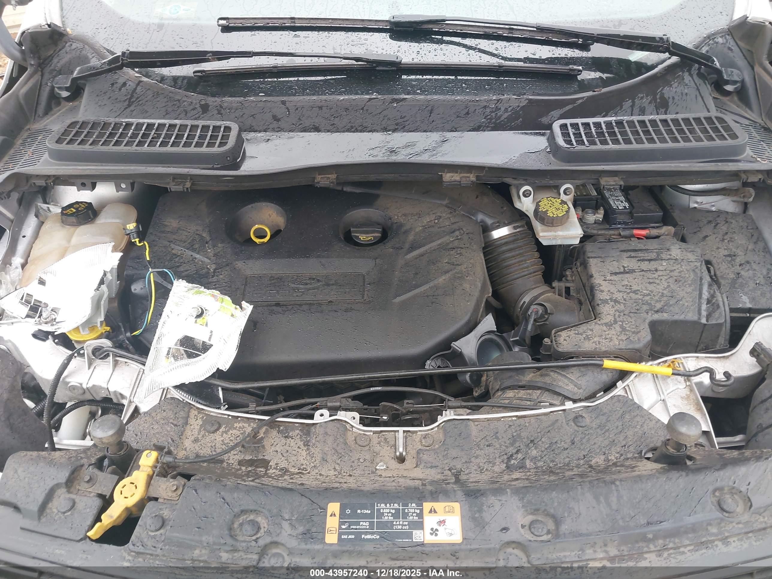 FORD ESCAPE image 10