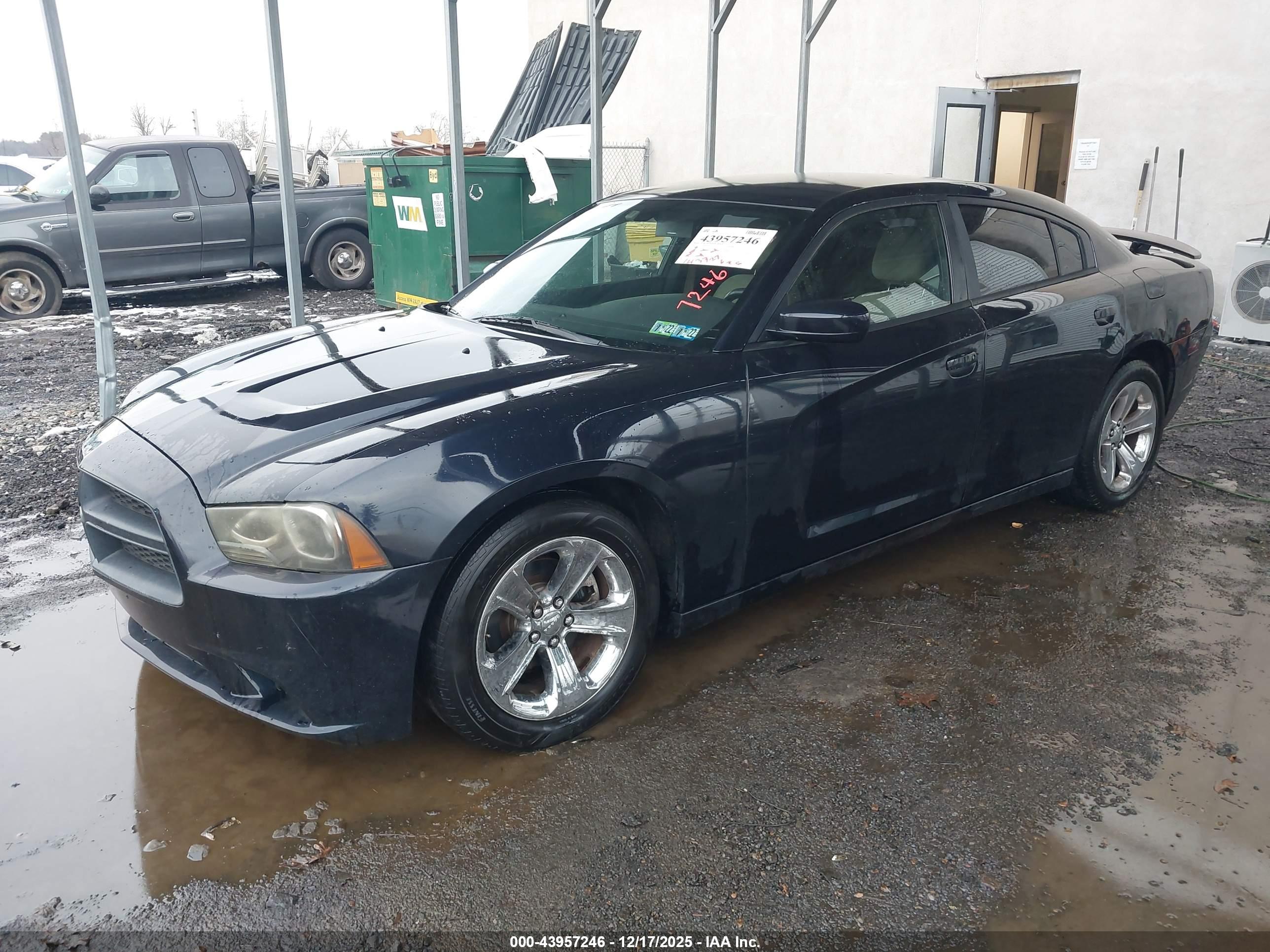 DODGE CHARGER image 2