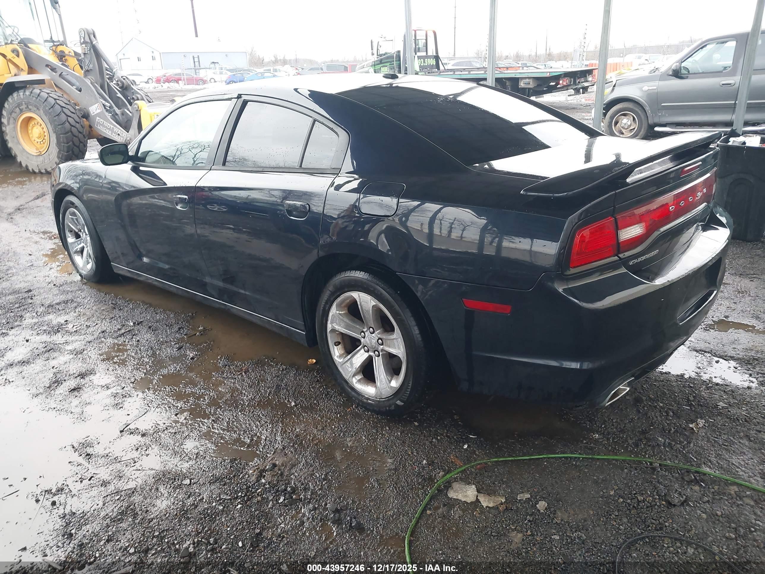 DODGE CHARGER image 3