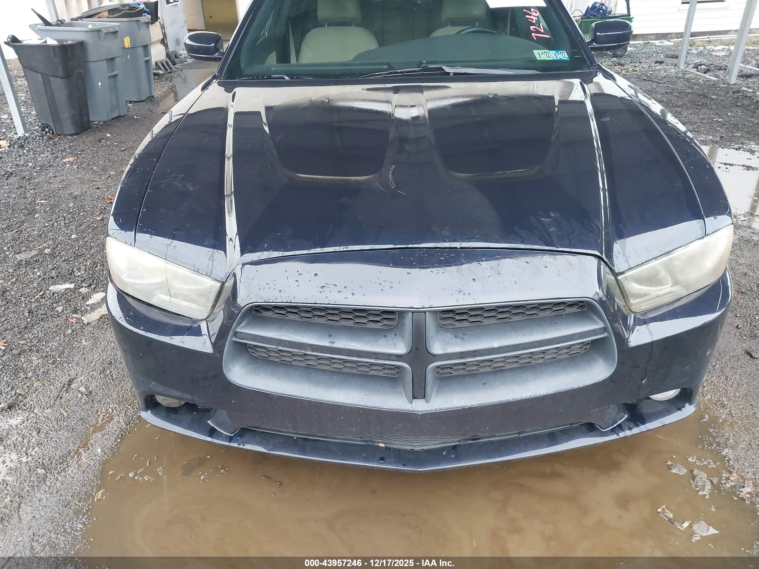 DODGE CHARGER image 6