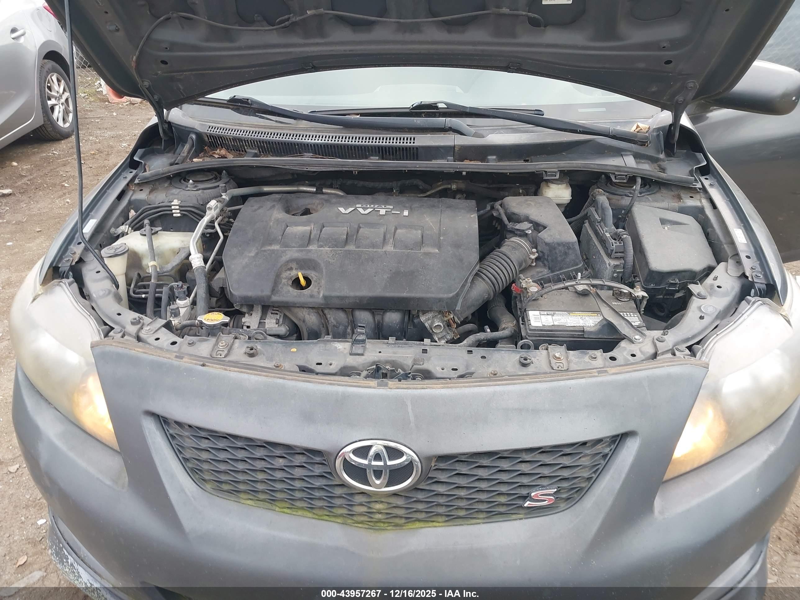 TOYOTA COROLLA image 10