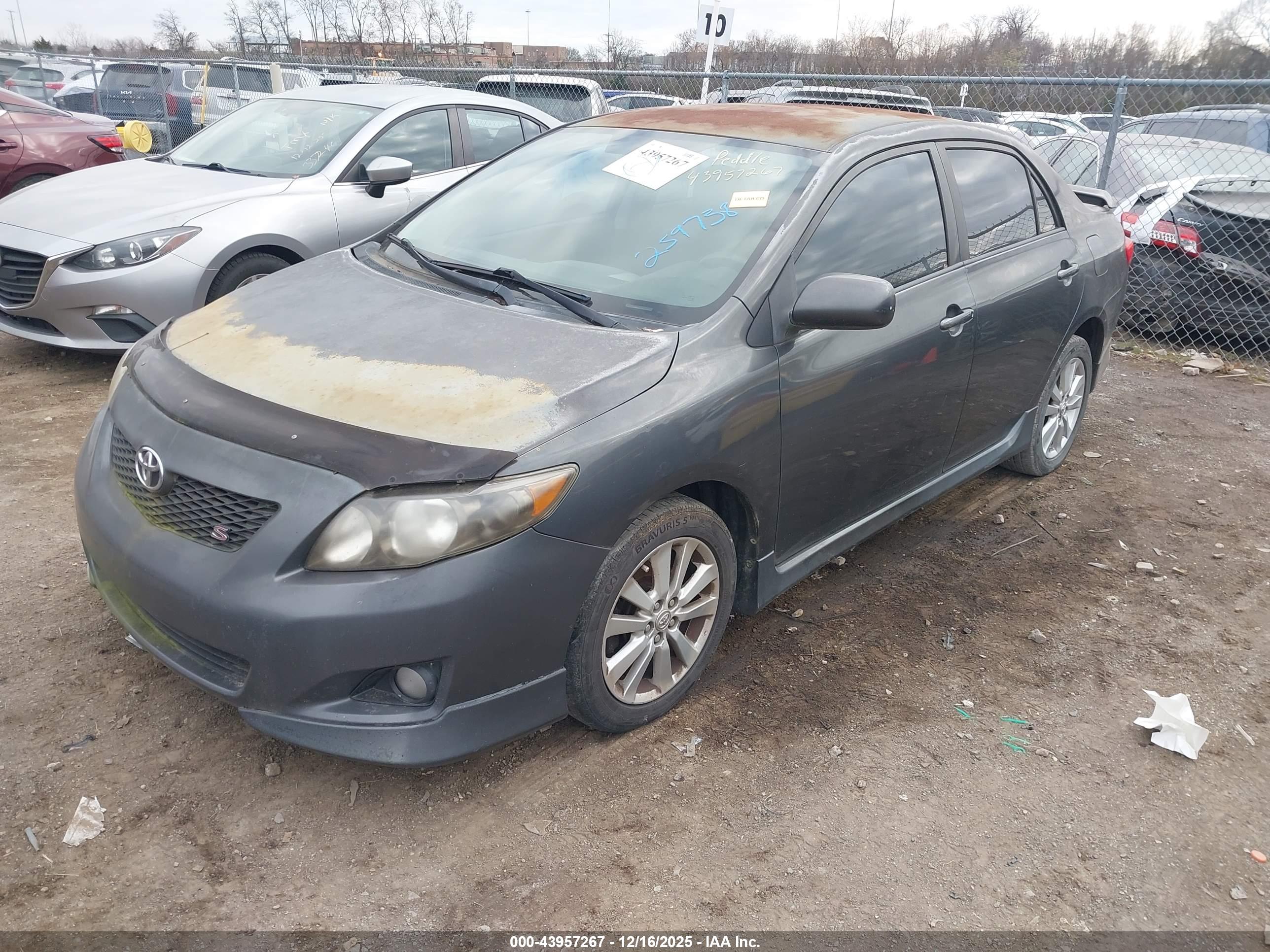 TOYOTA COROLLA image 2