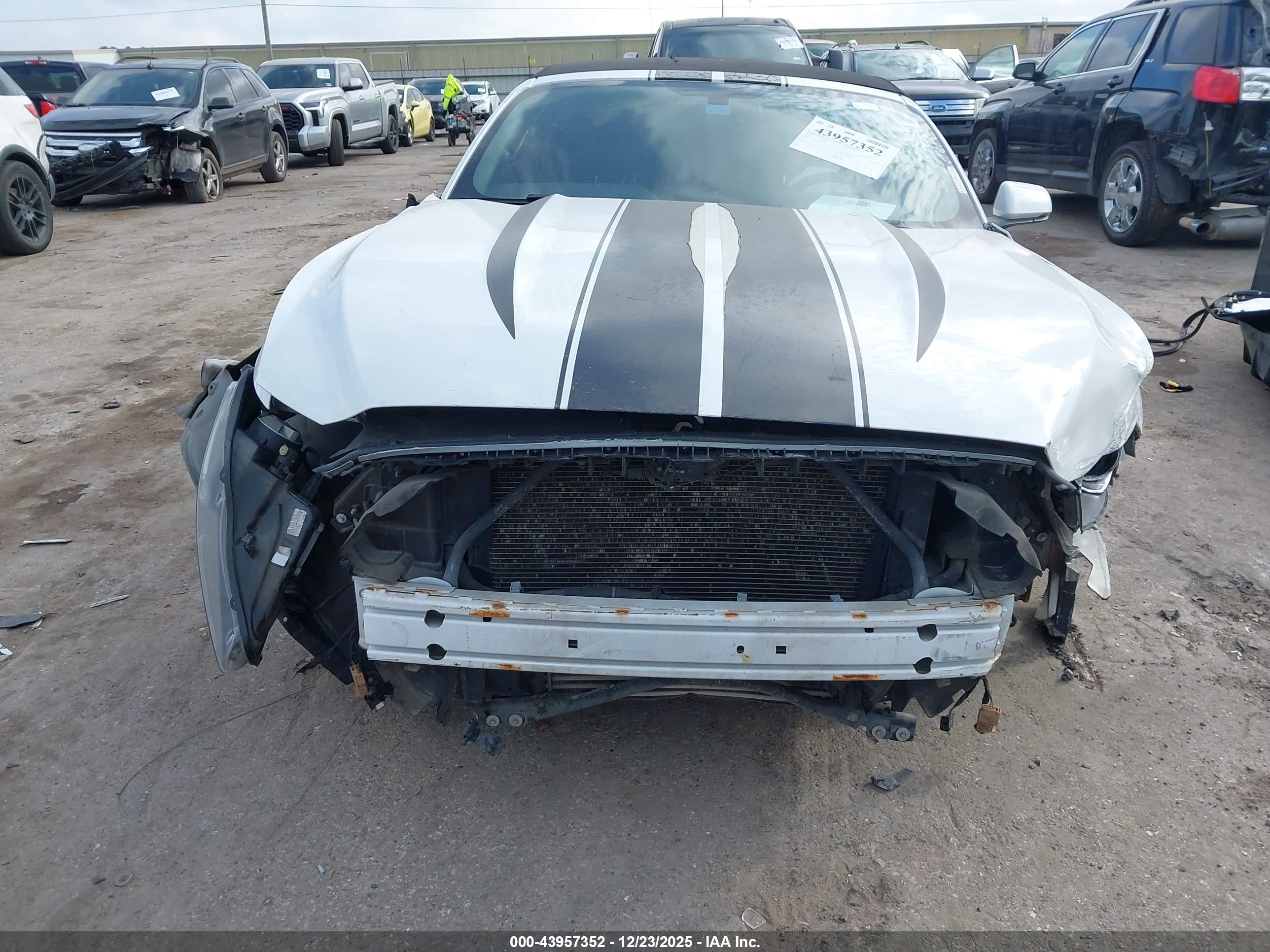FORD MUSTANG image 6