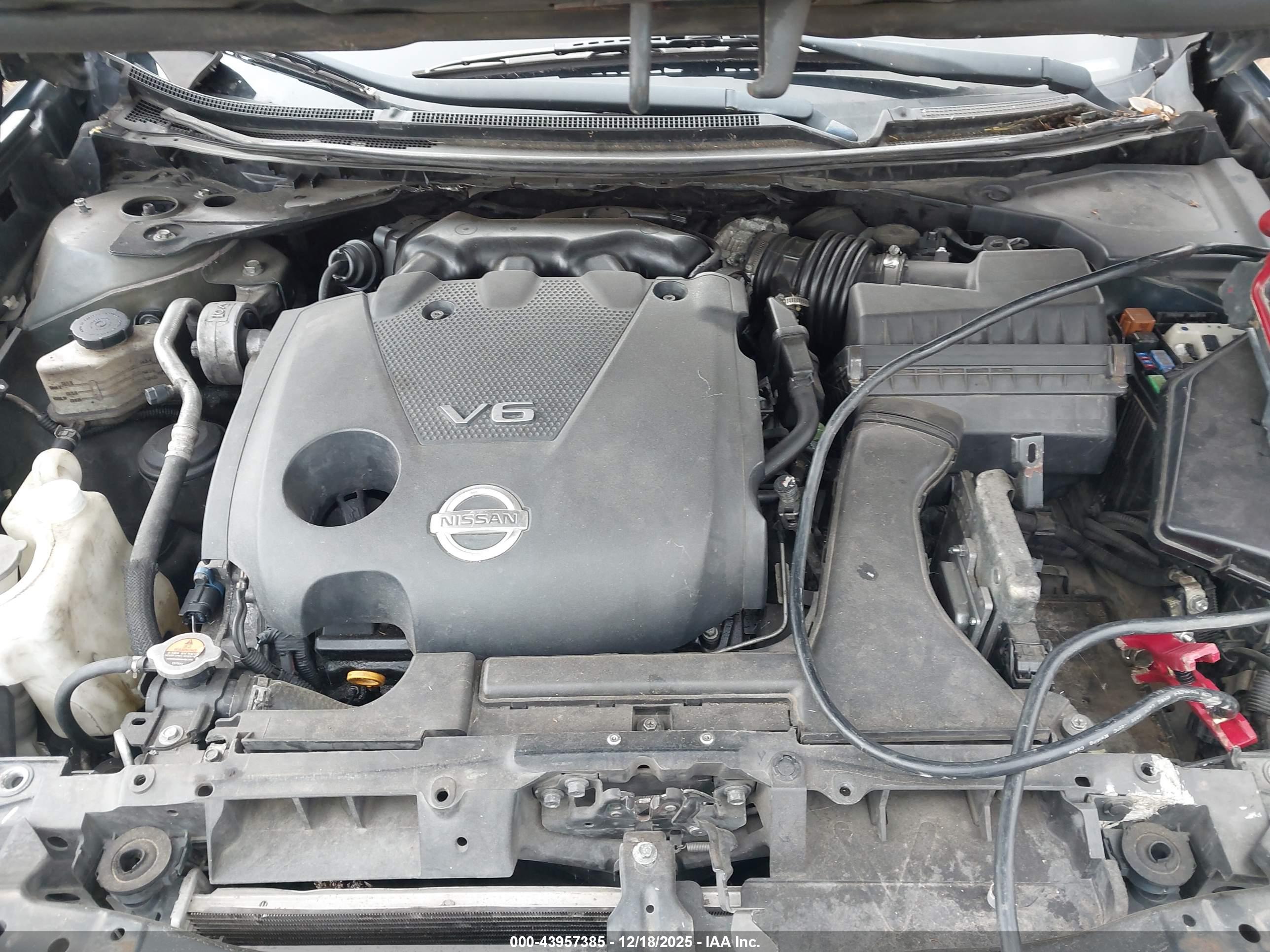 NISSAN MAXIMA image 10