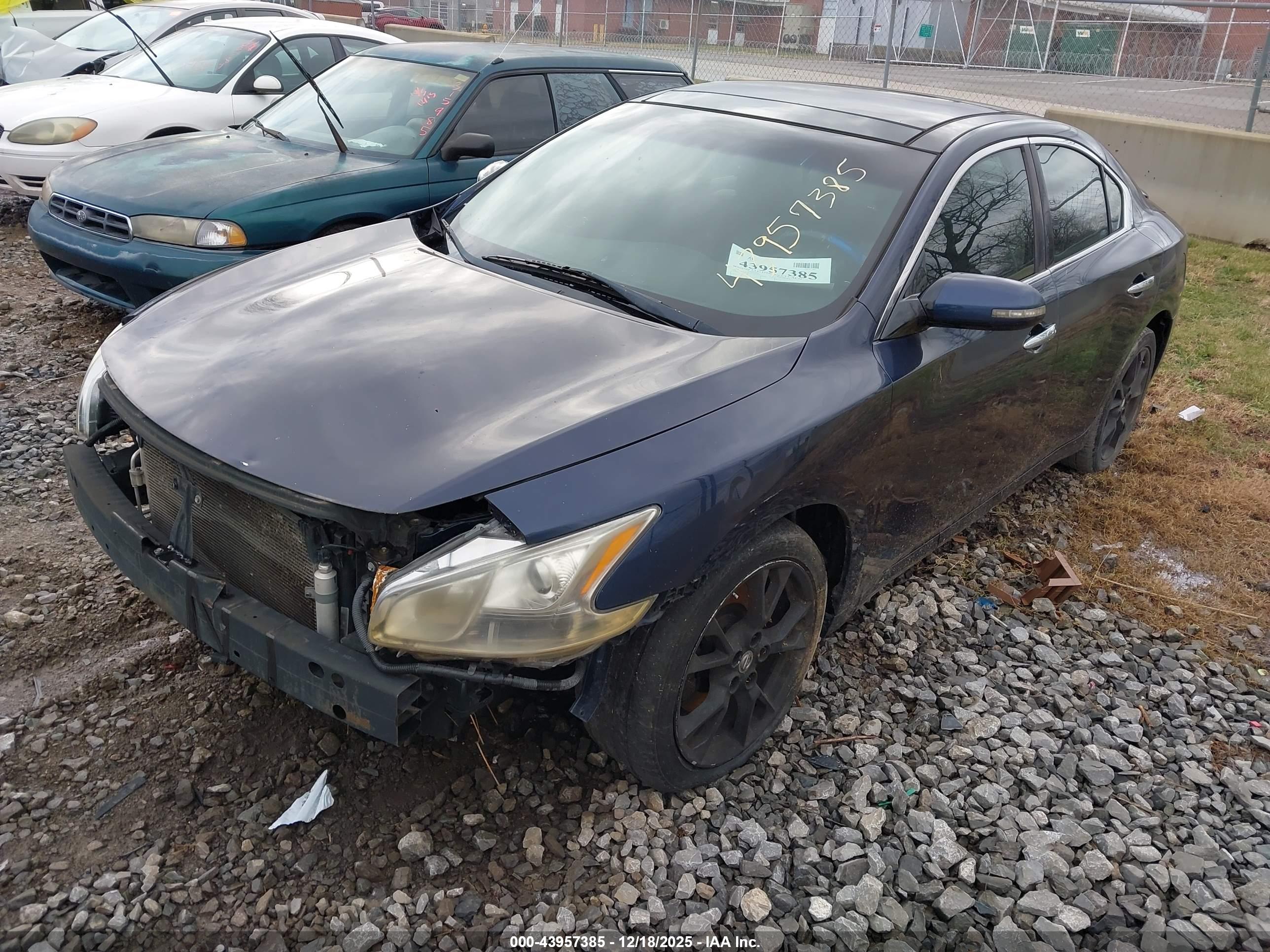 NISSAN MAXIMA image 2