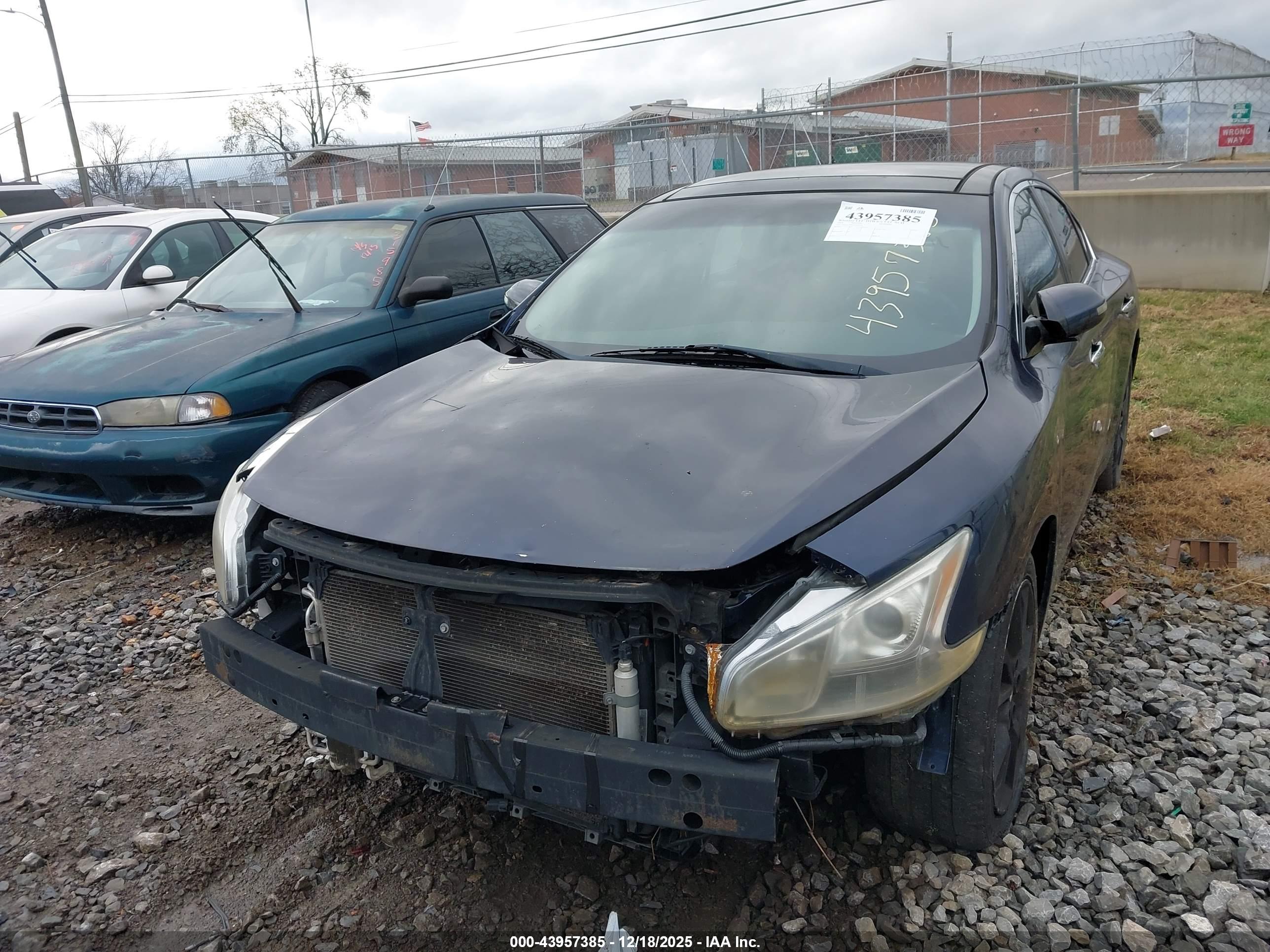 NISSAN MAXIMA image 6