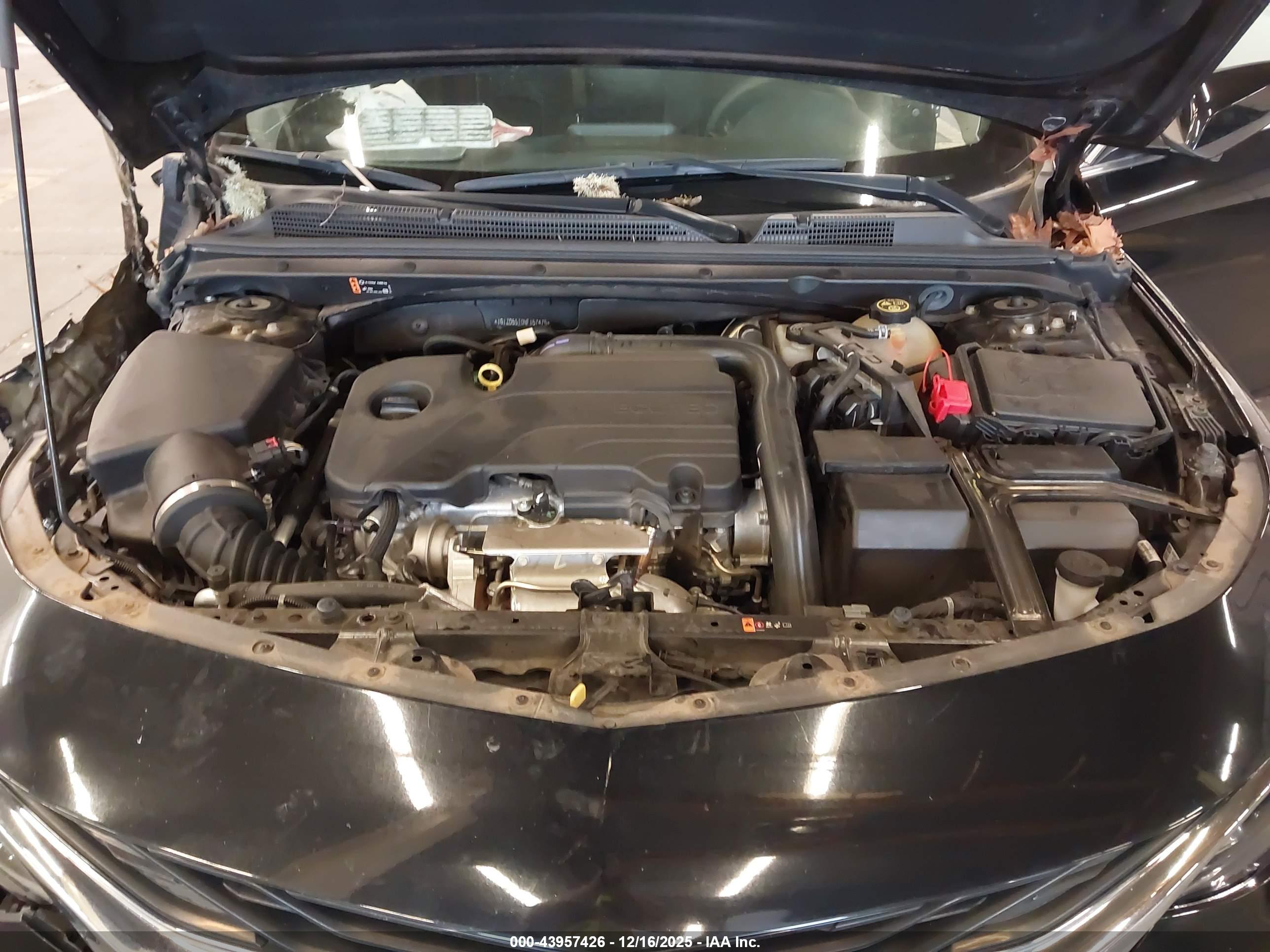 CHEVROLET MALIBU image 10