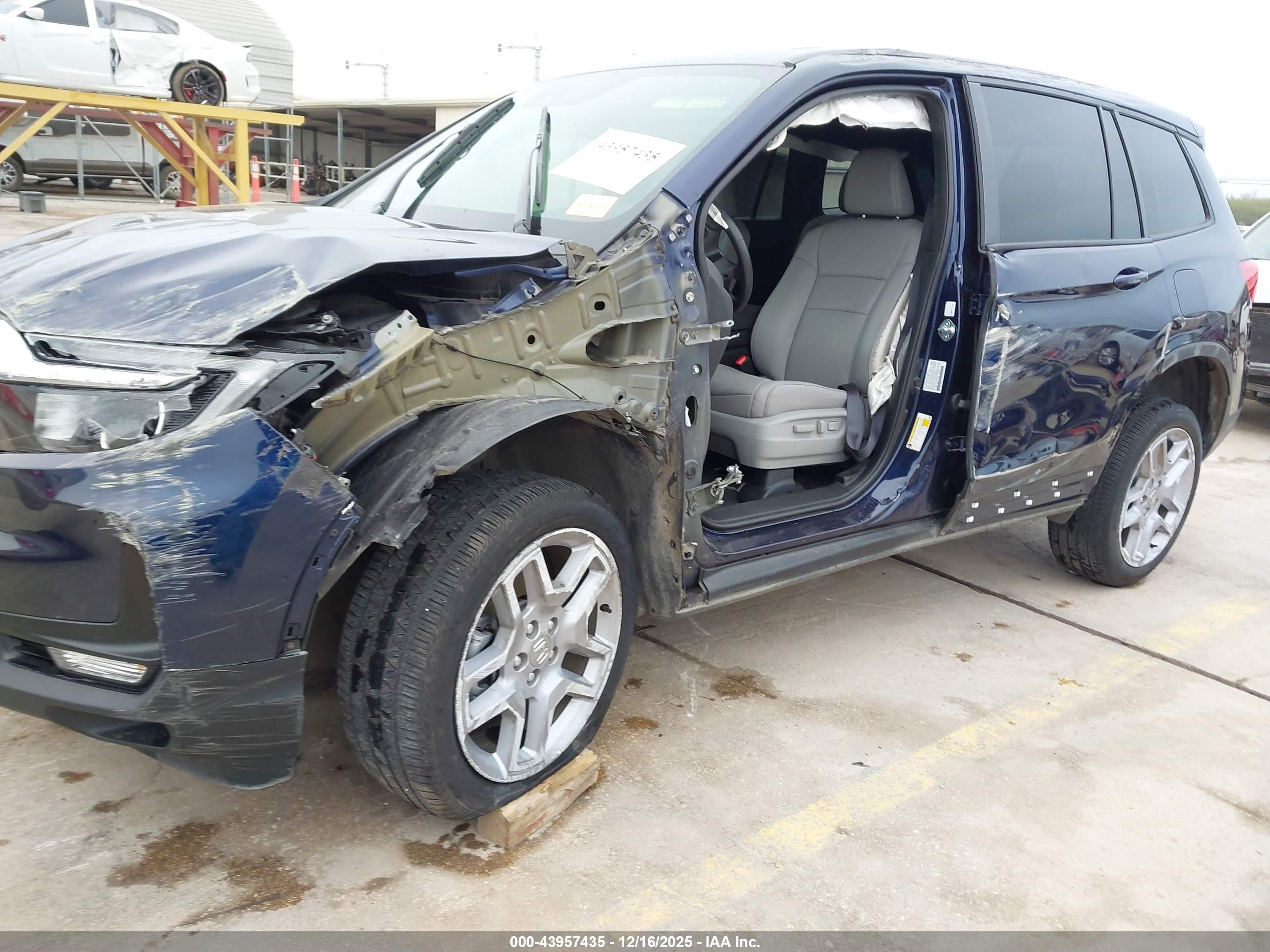 HONDA PASSPORT image 6