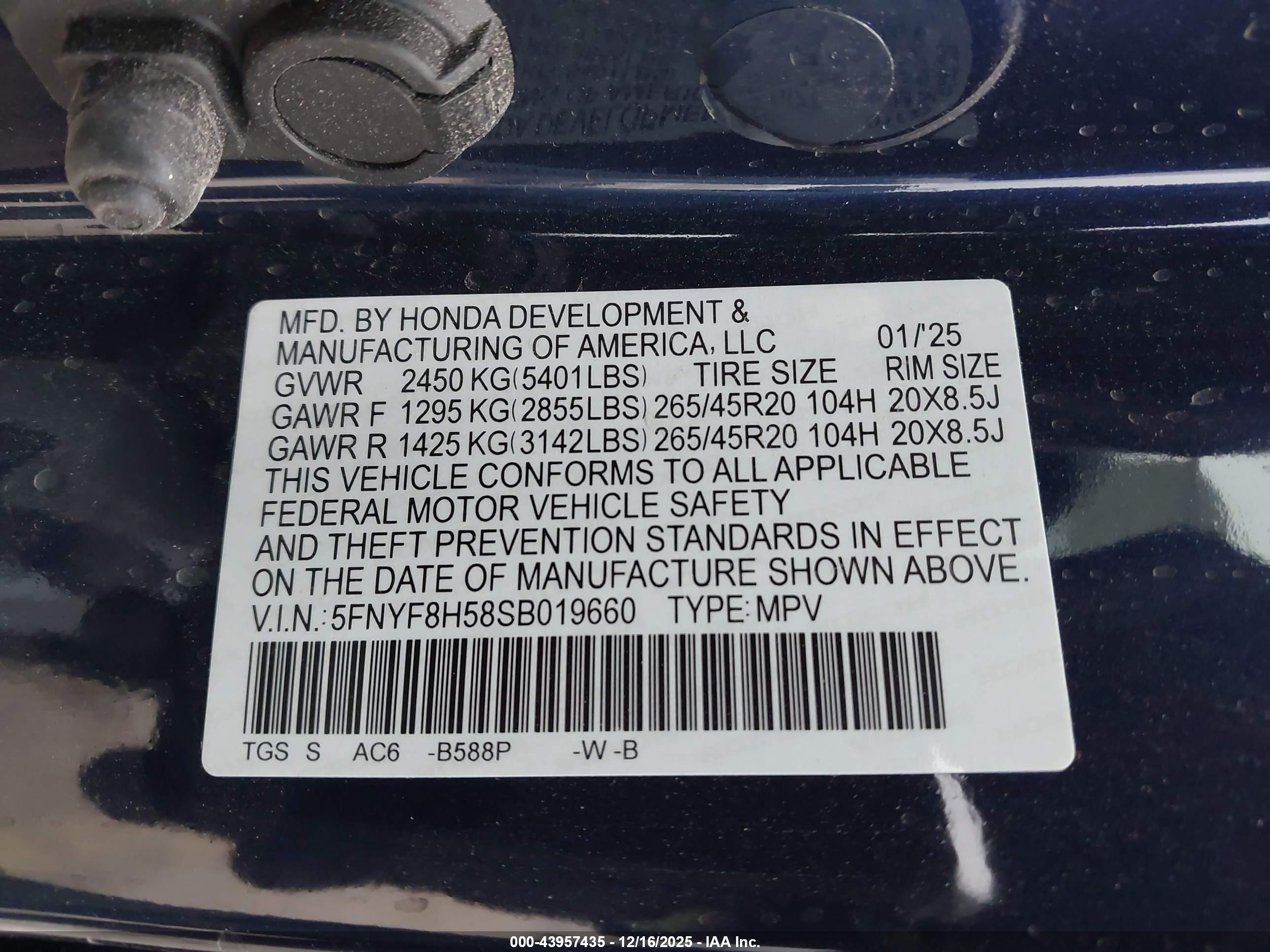 HONDA PASSPORT image 9
