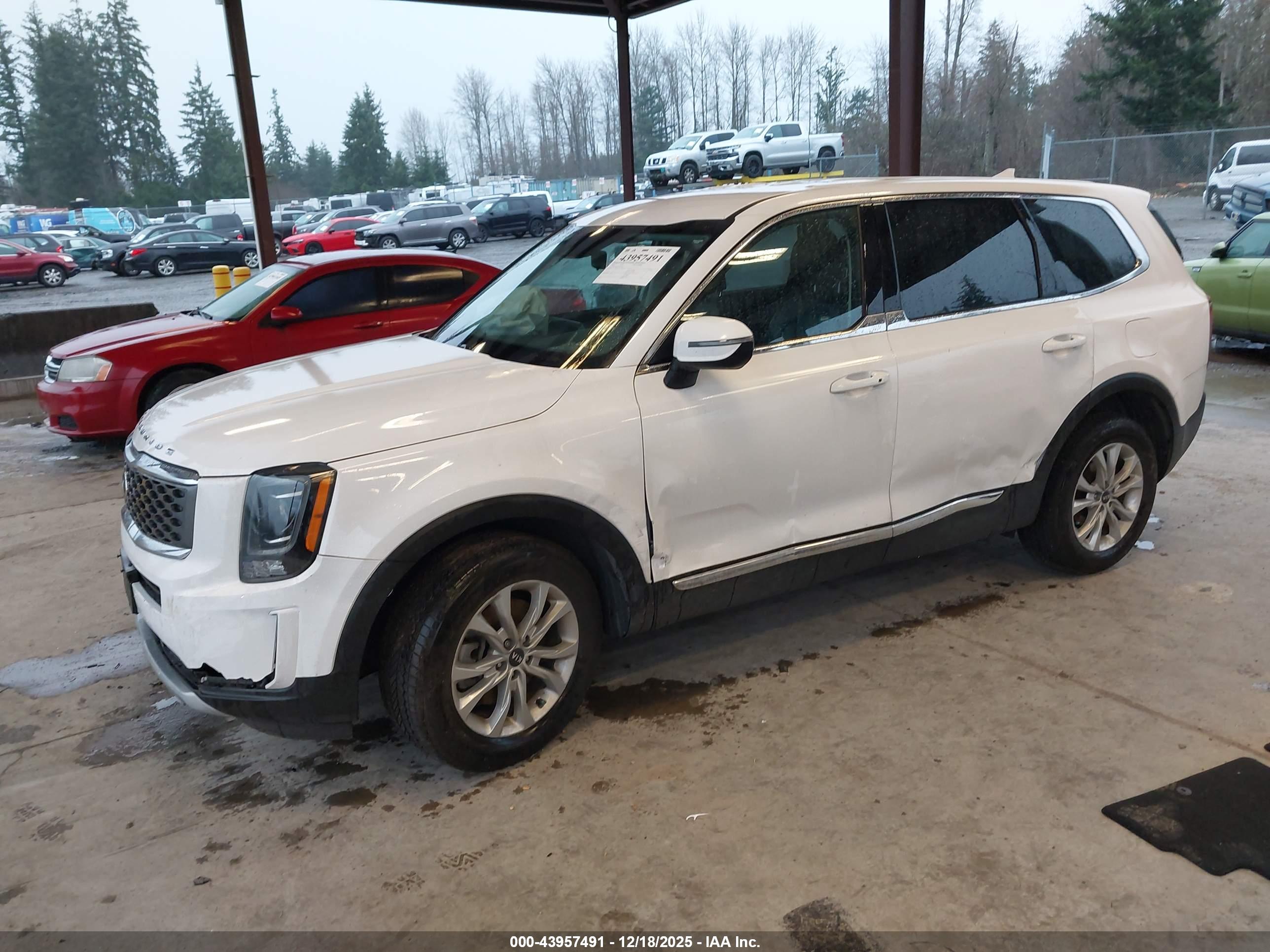 KIA TELLURIDE image 2