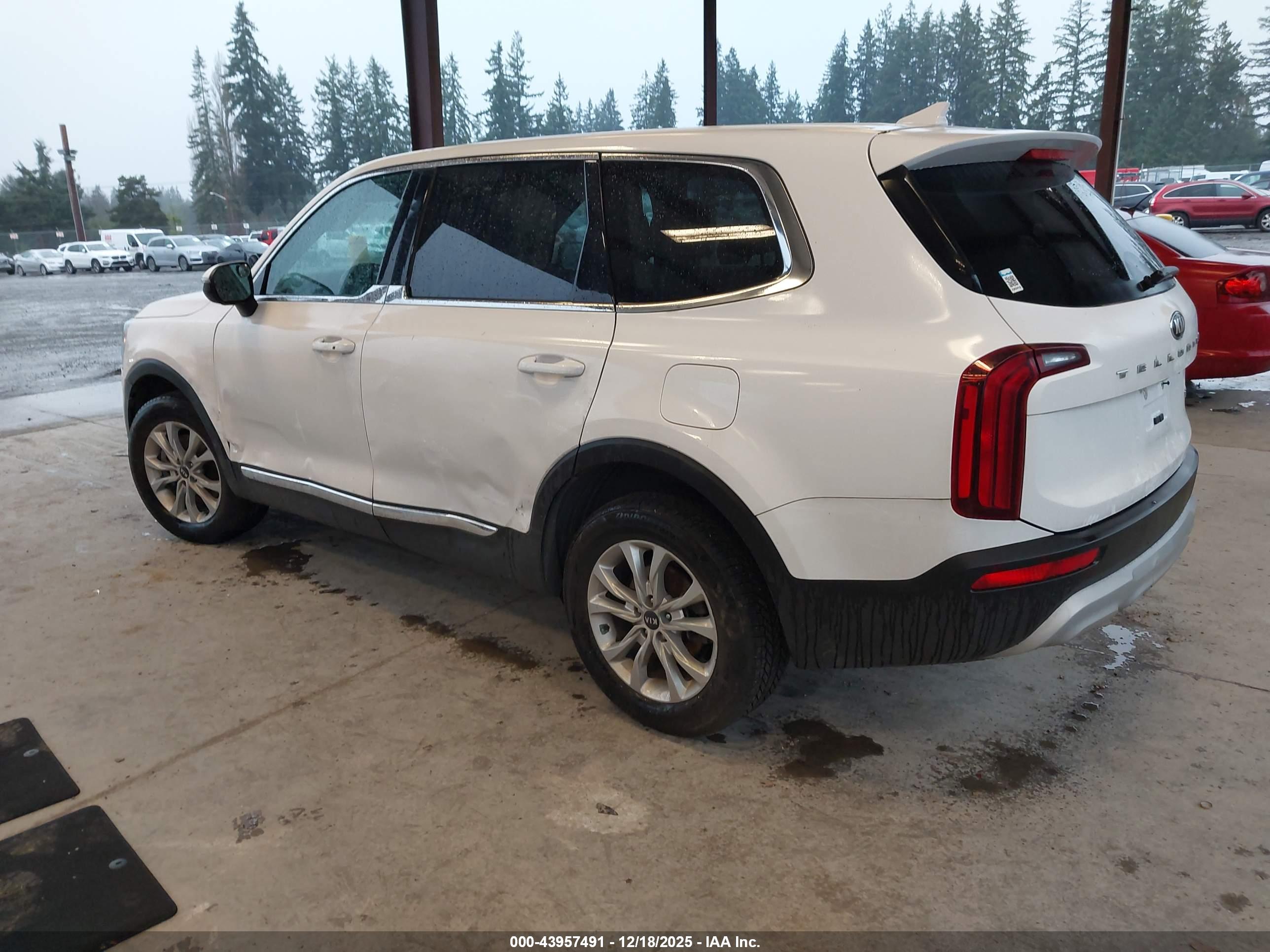 KIA TELLURIDE image 3