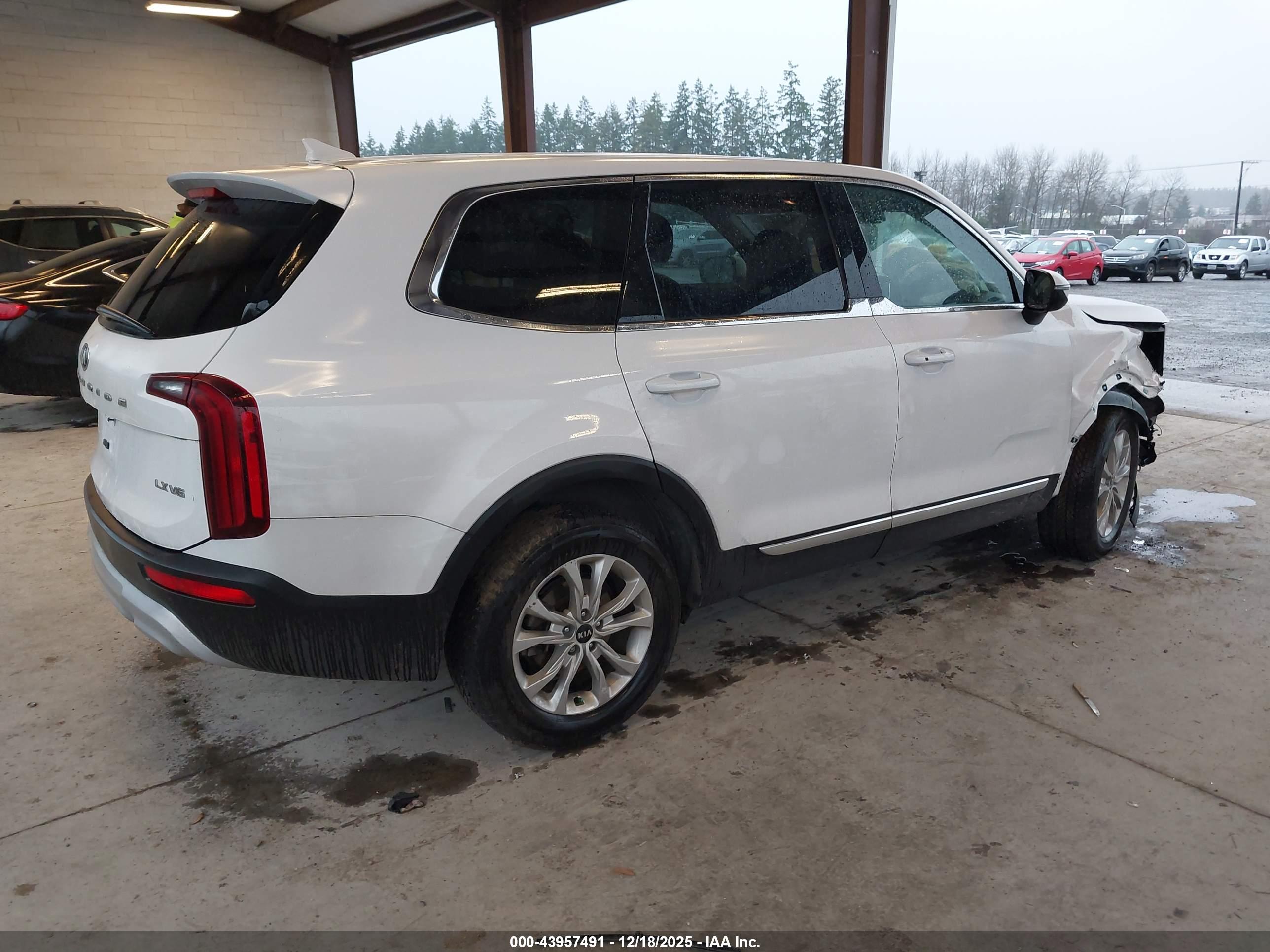 KIA TELLURIDE image 4