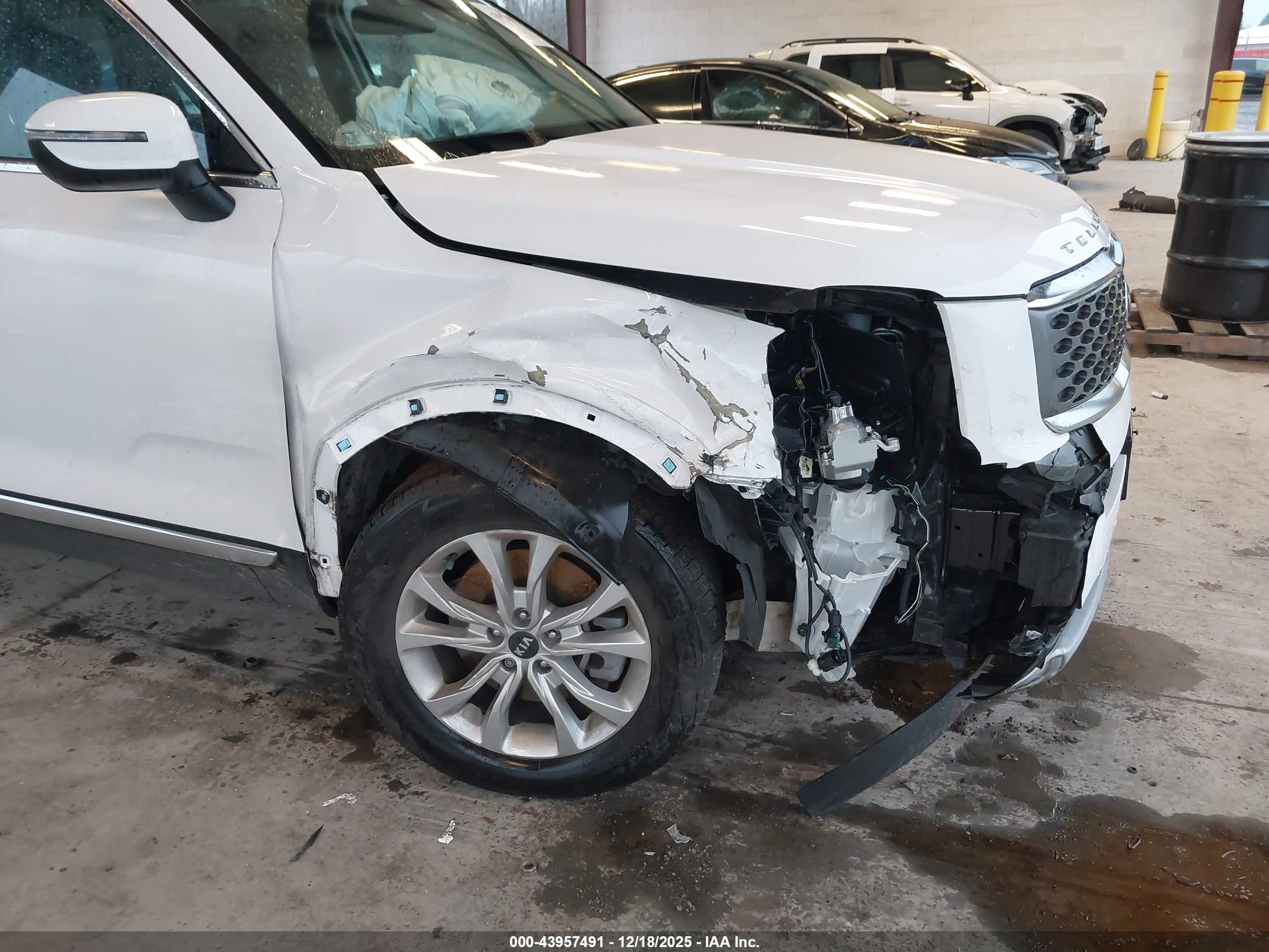 KIA TELLURIDE image 6