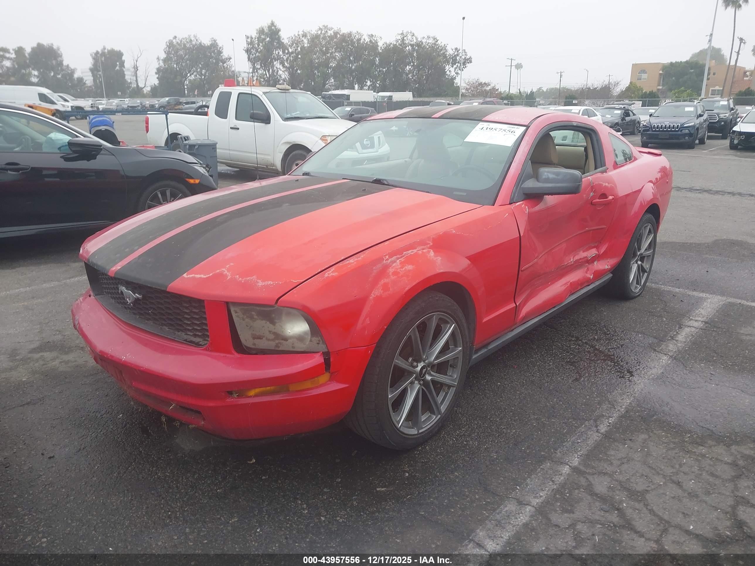 FORD MUSTANG image 2