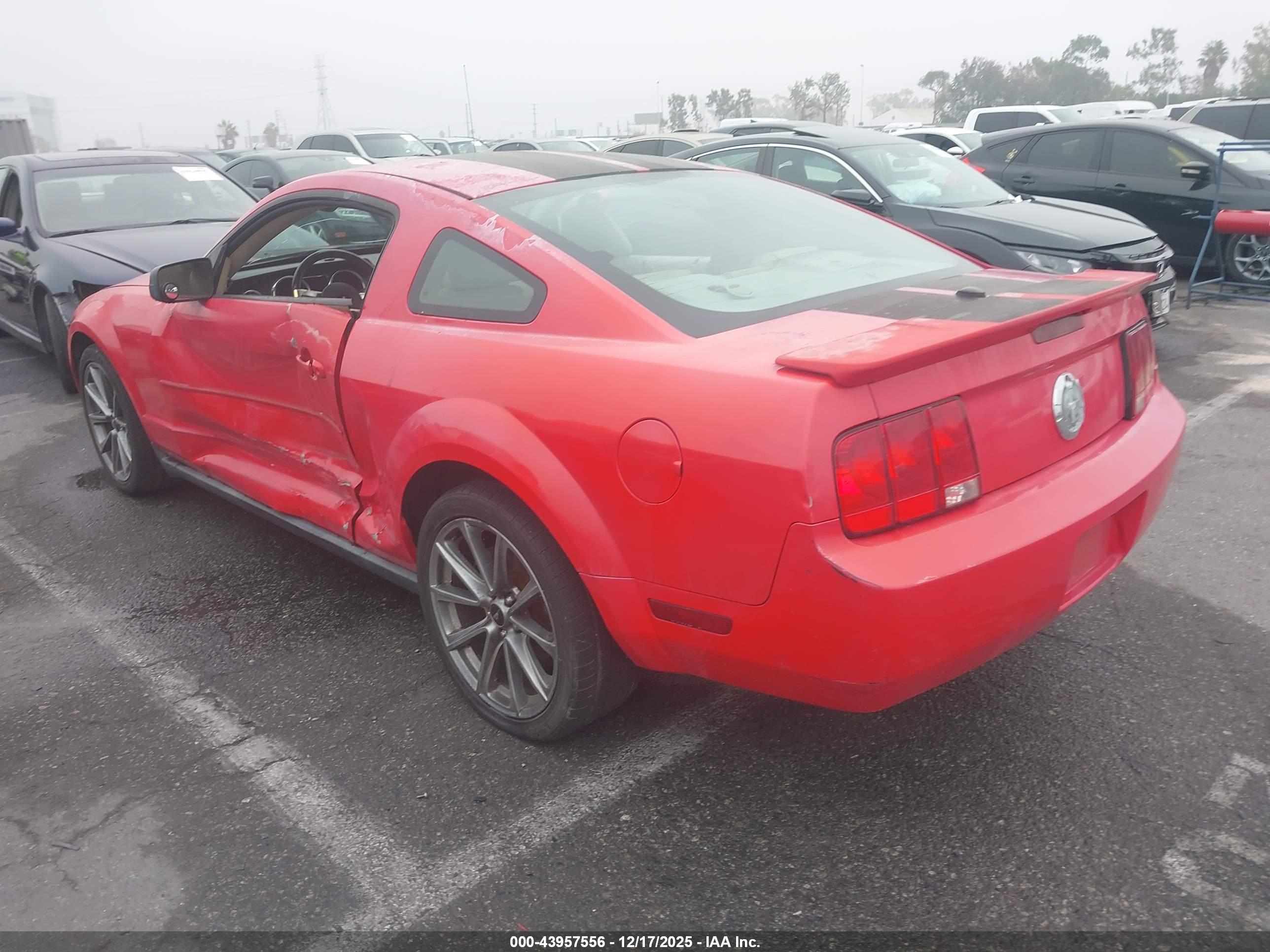 FORD MUSTANG image 3
