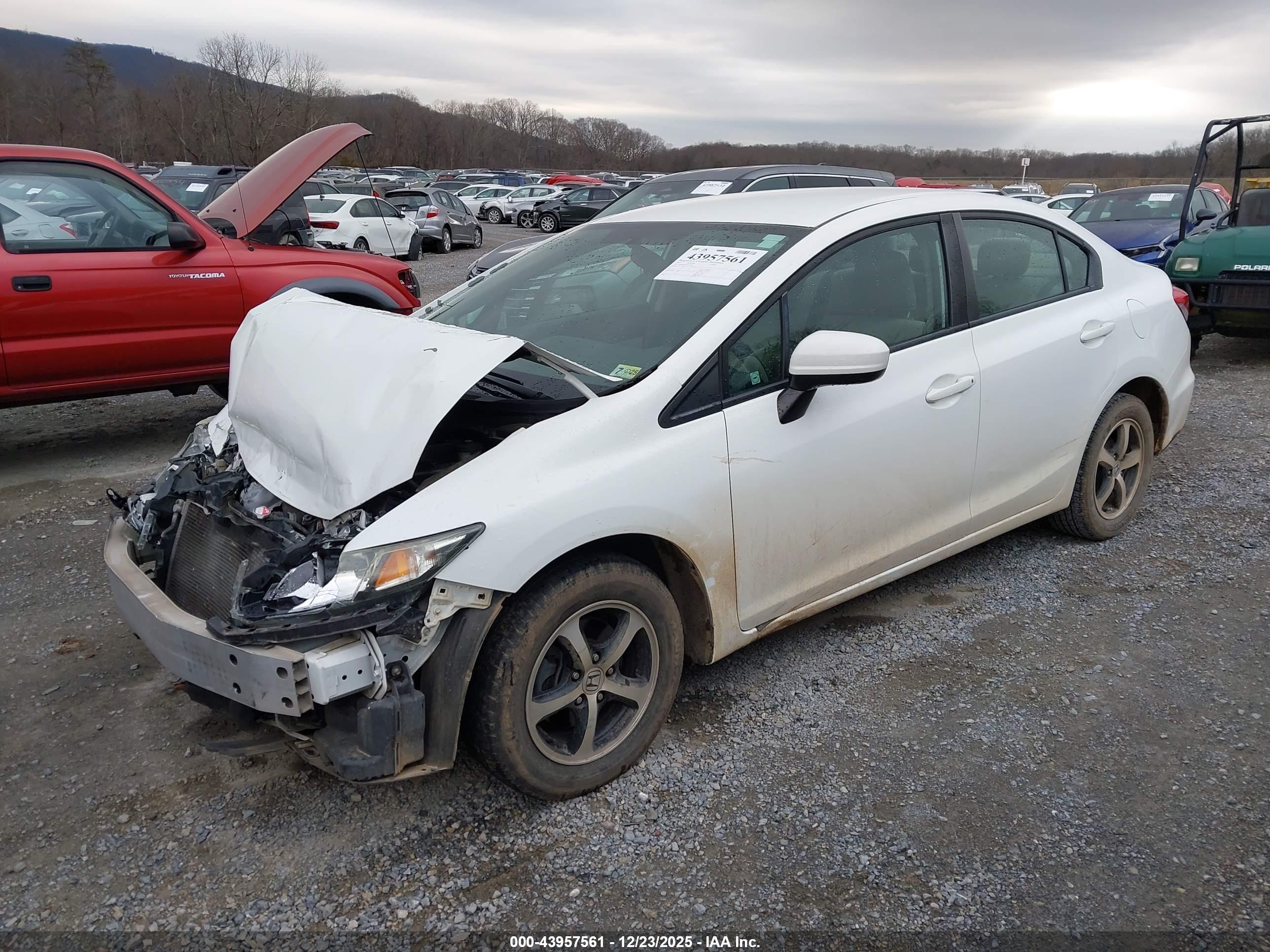 HONDA CIVIC image 2