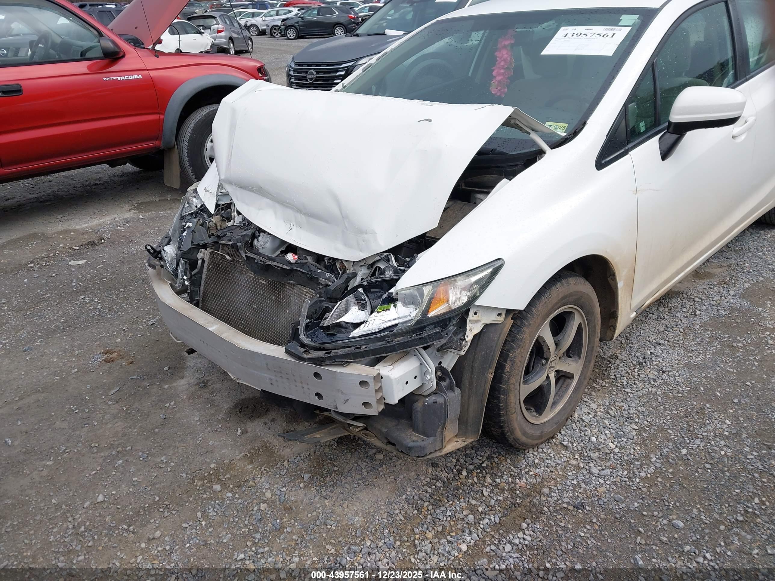 HONDA CIVIC image 6