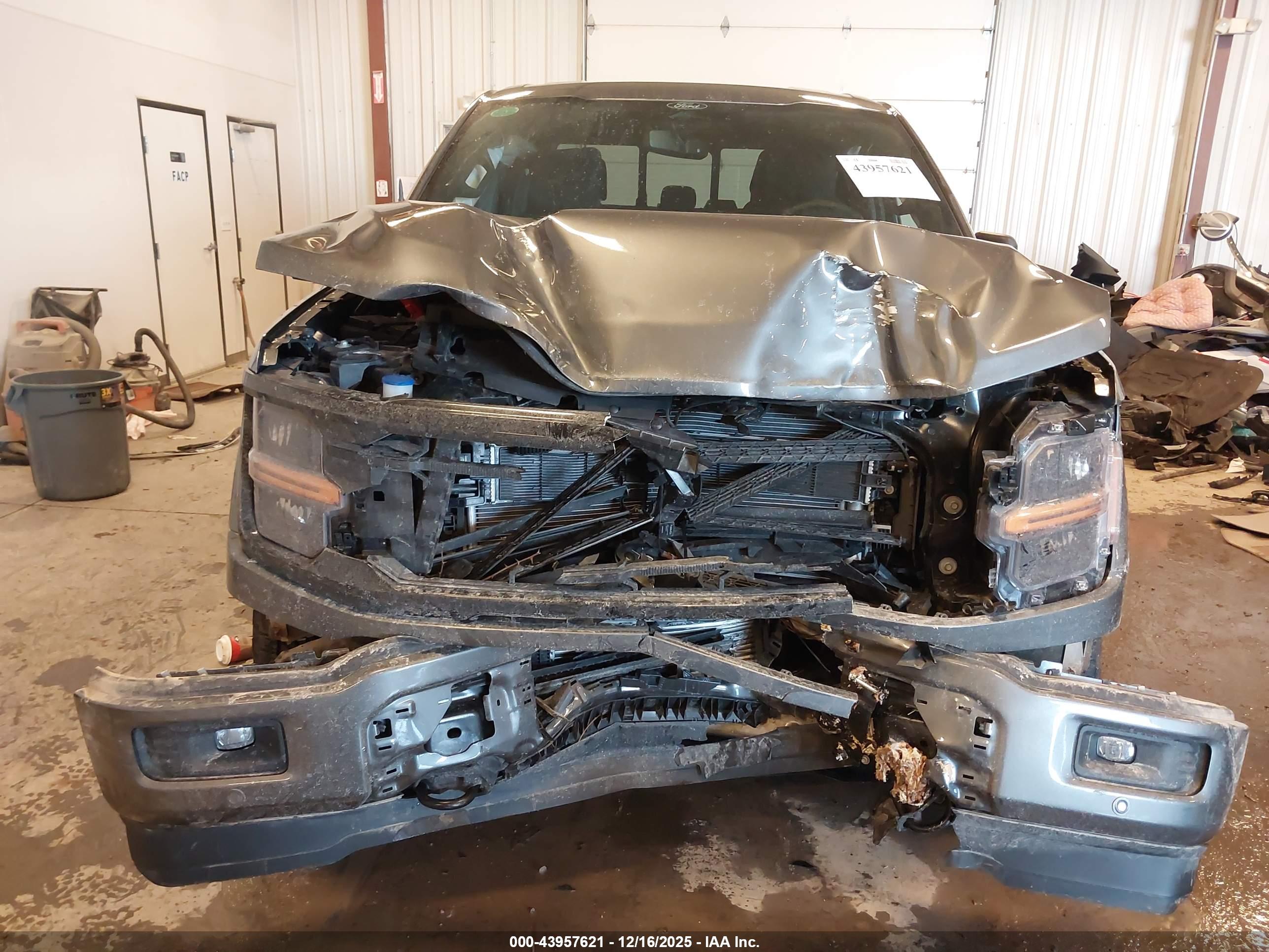 FORD F-150 image 6