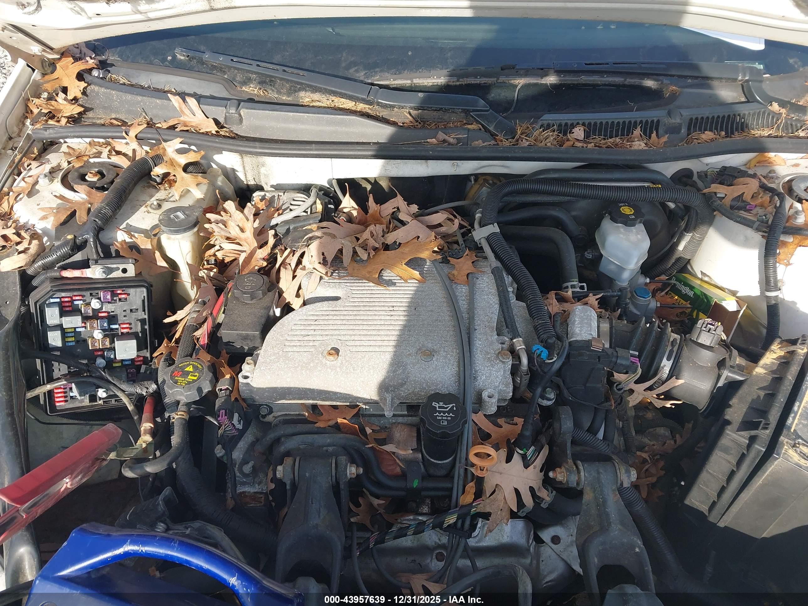 CHEVROLET IMPALA image 10