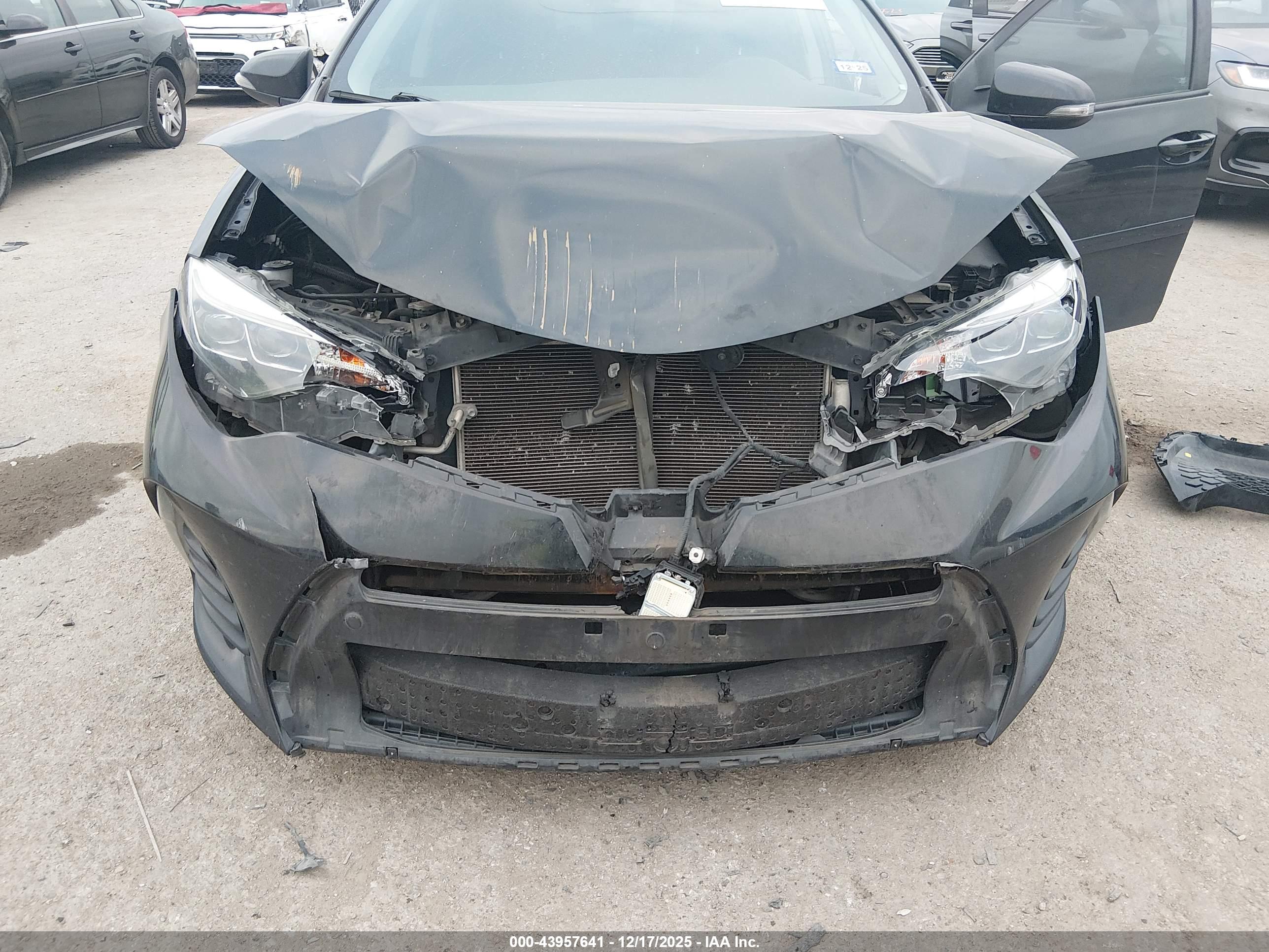 TOYOTA COROLLA image 6