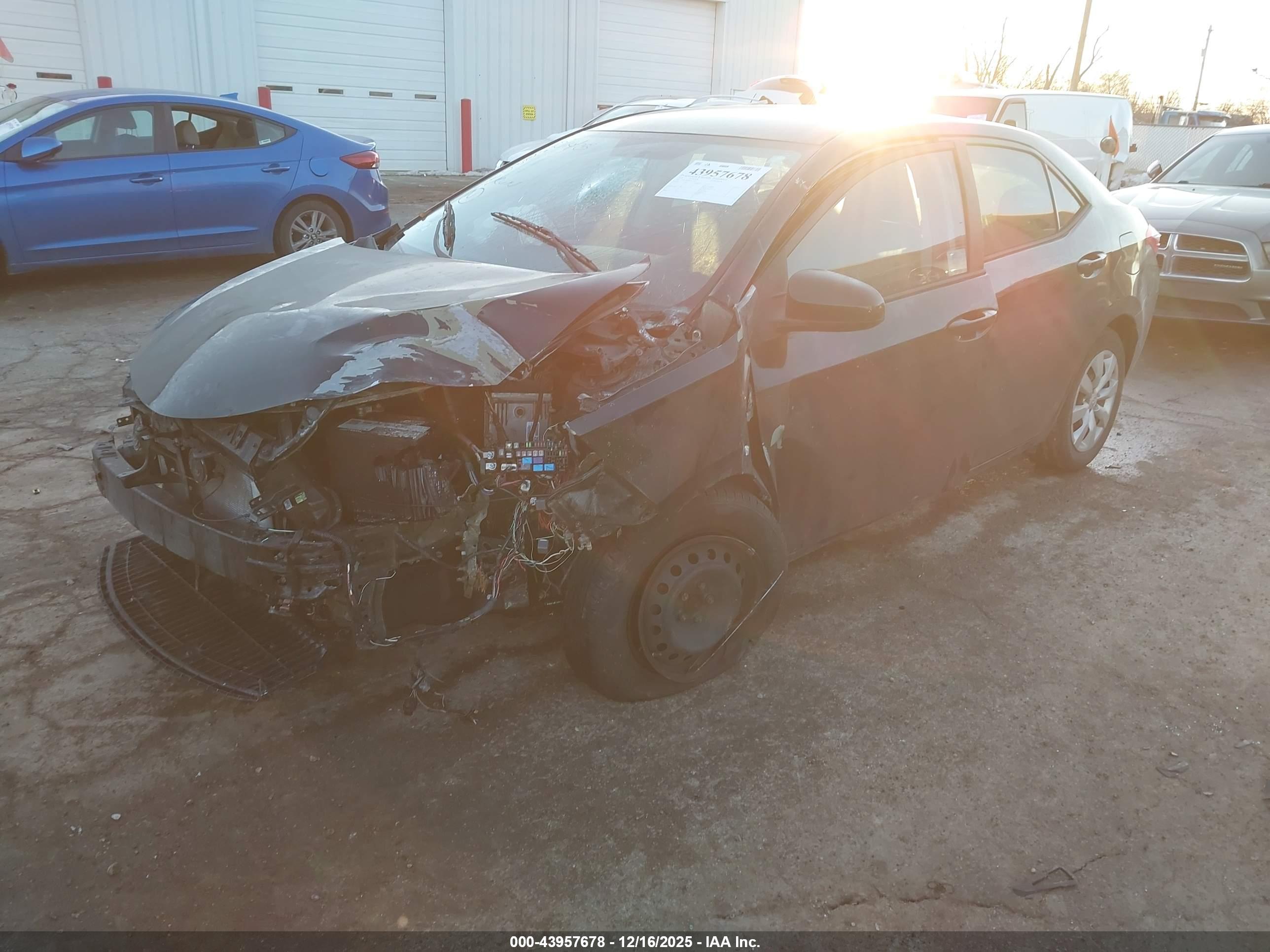 TOYOTA COROLLA image 2