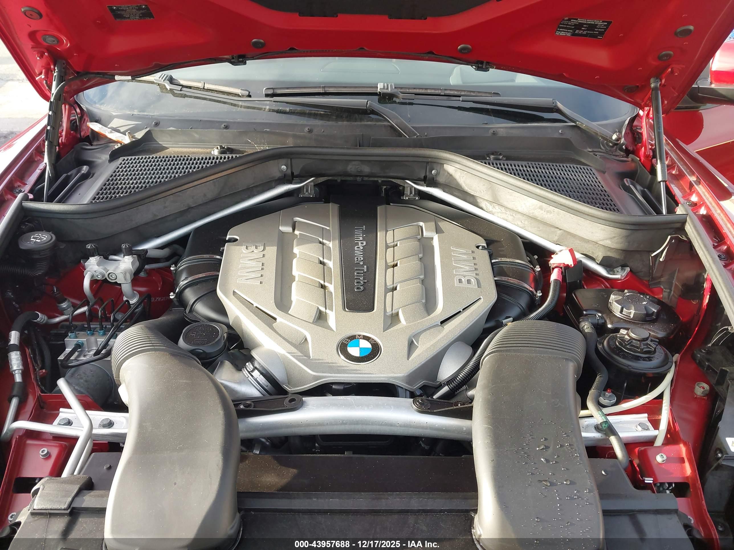 BMW X6 image 10