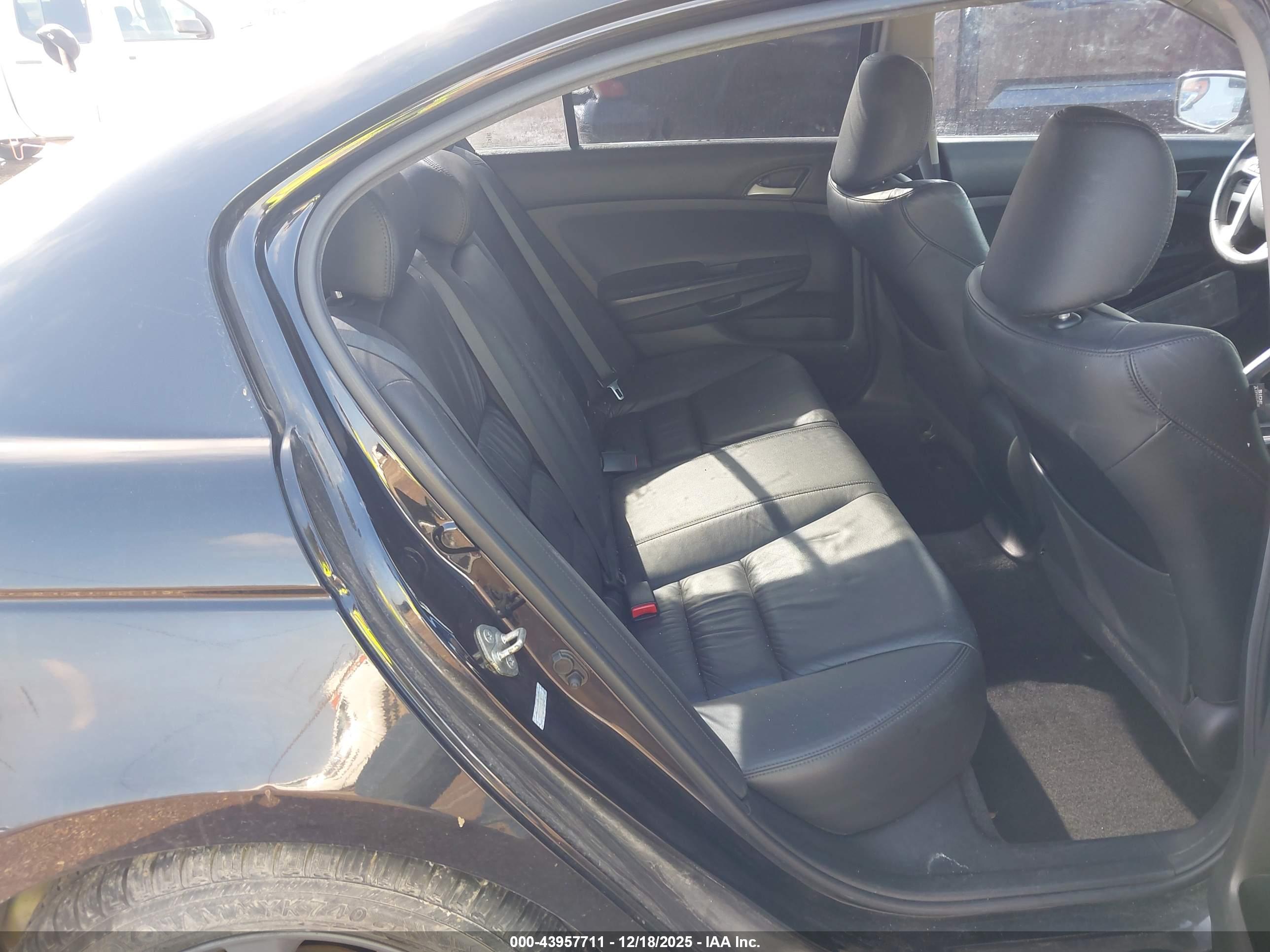 HONDA ACCORD image 8
